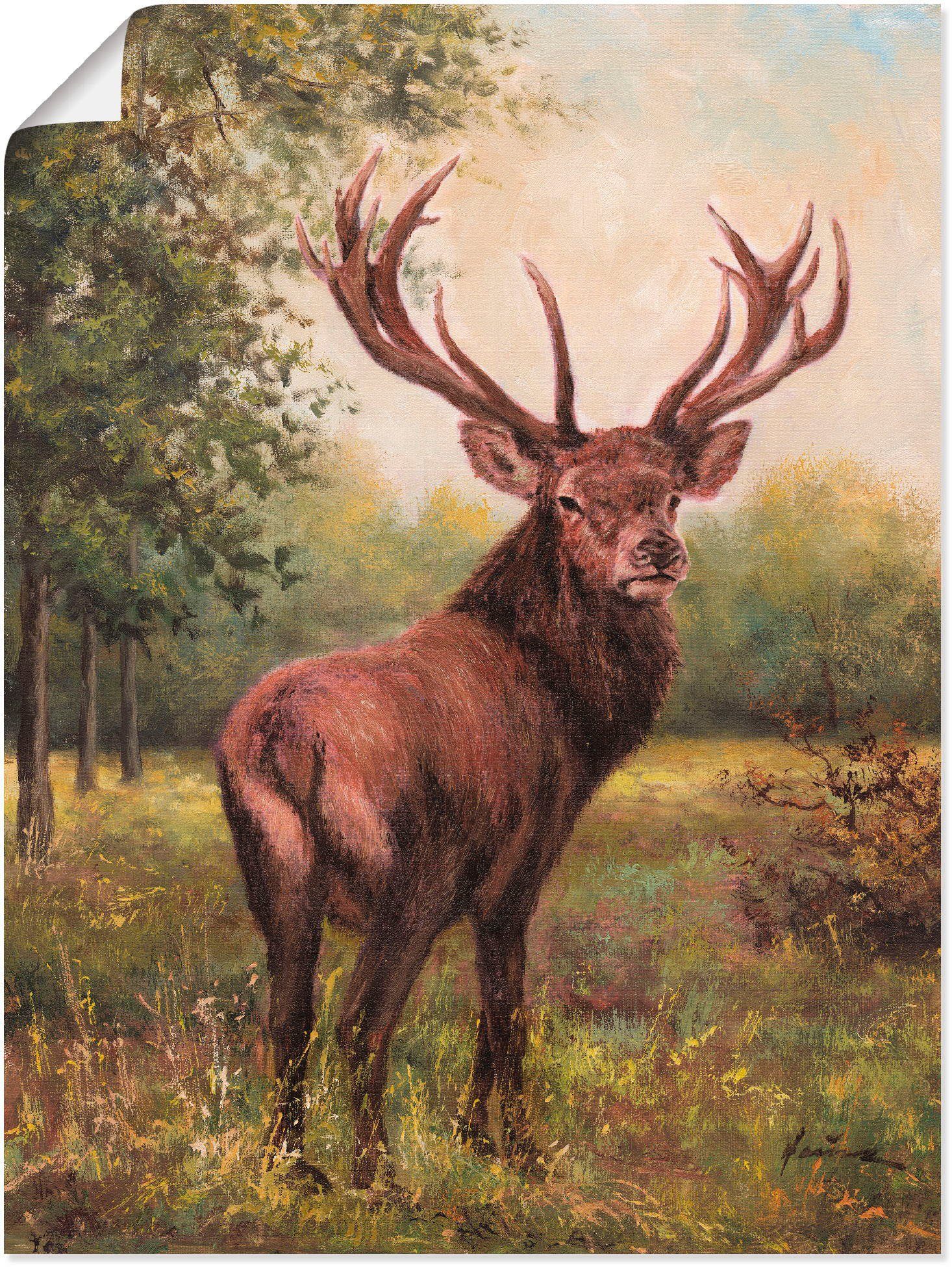 Artland Wandbild Hirsch, Wildtiere (1 St), als Leinwandbild, Плакат, Wandaufkleber in verschied. Größen