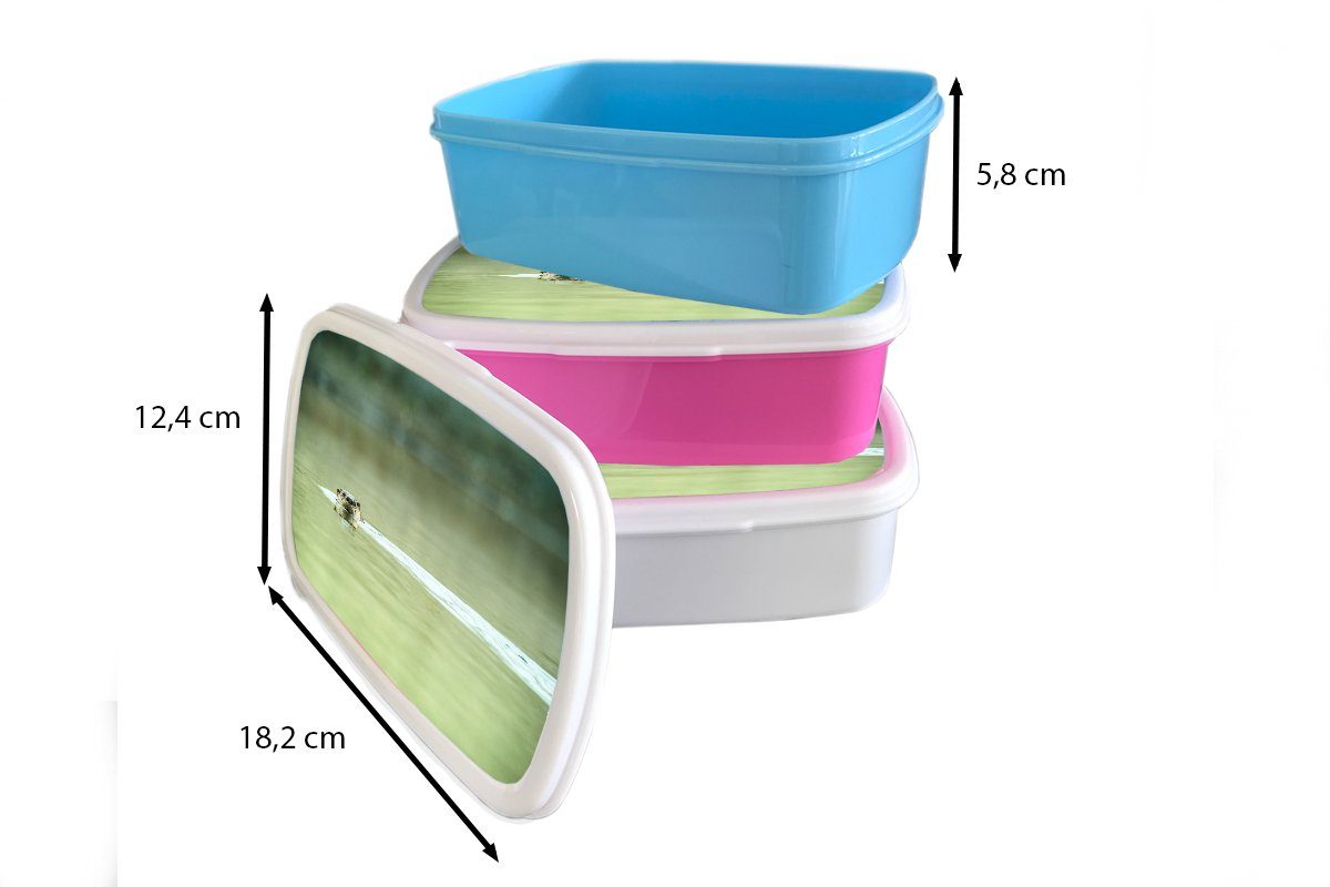 Kunststoff MuchoWow schwimmt Kunststoff, Brotdose Erwachsene, rosa Snackbox, Mädchen, Brotbox (2-tlg), Otter Wasser, im Kinder, für Lunchbox