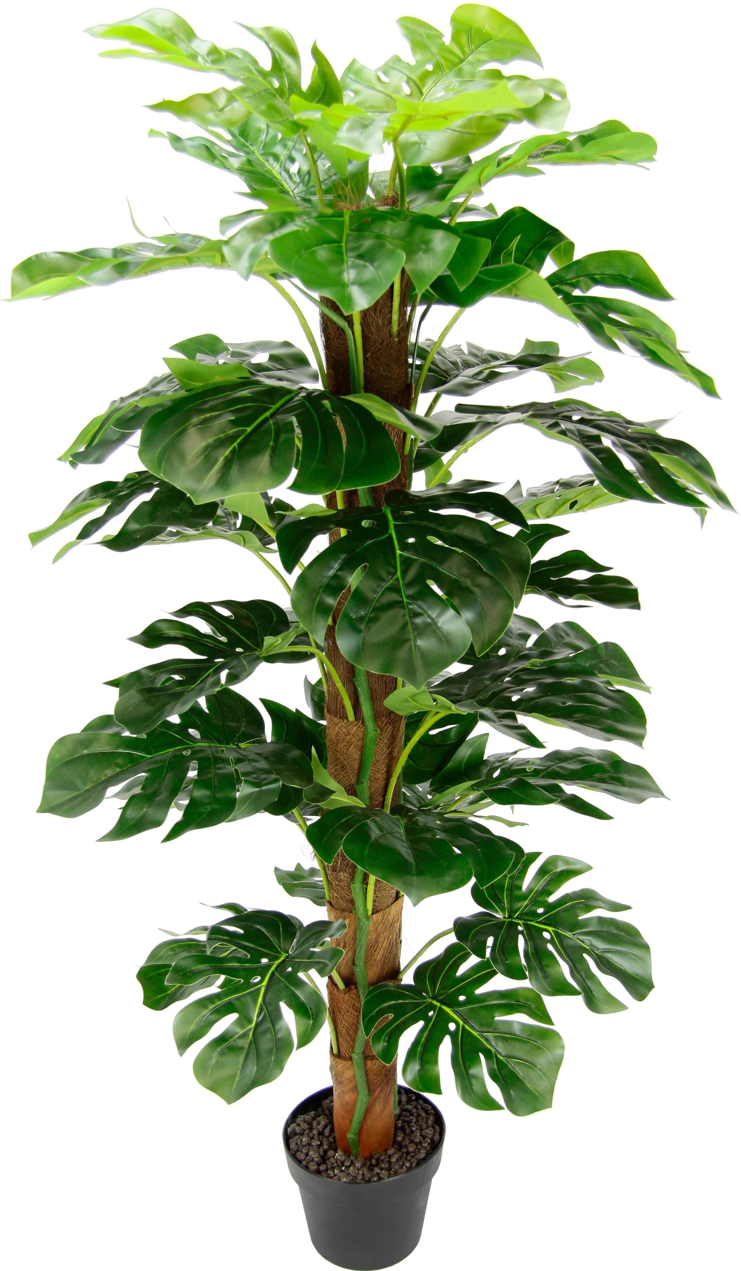 Kunstpflanze Splitphilopflanze, I.GE.A., Höhe 120 cm | Kunstpflanzen