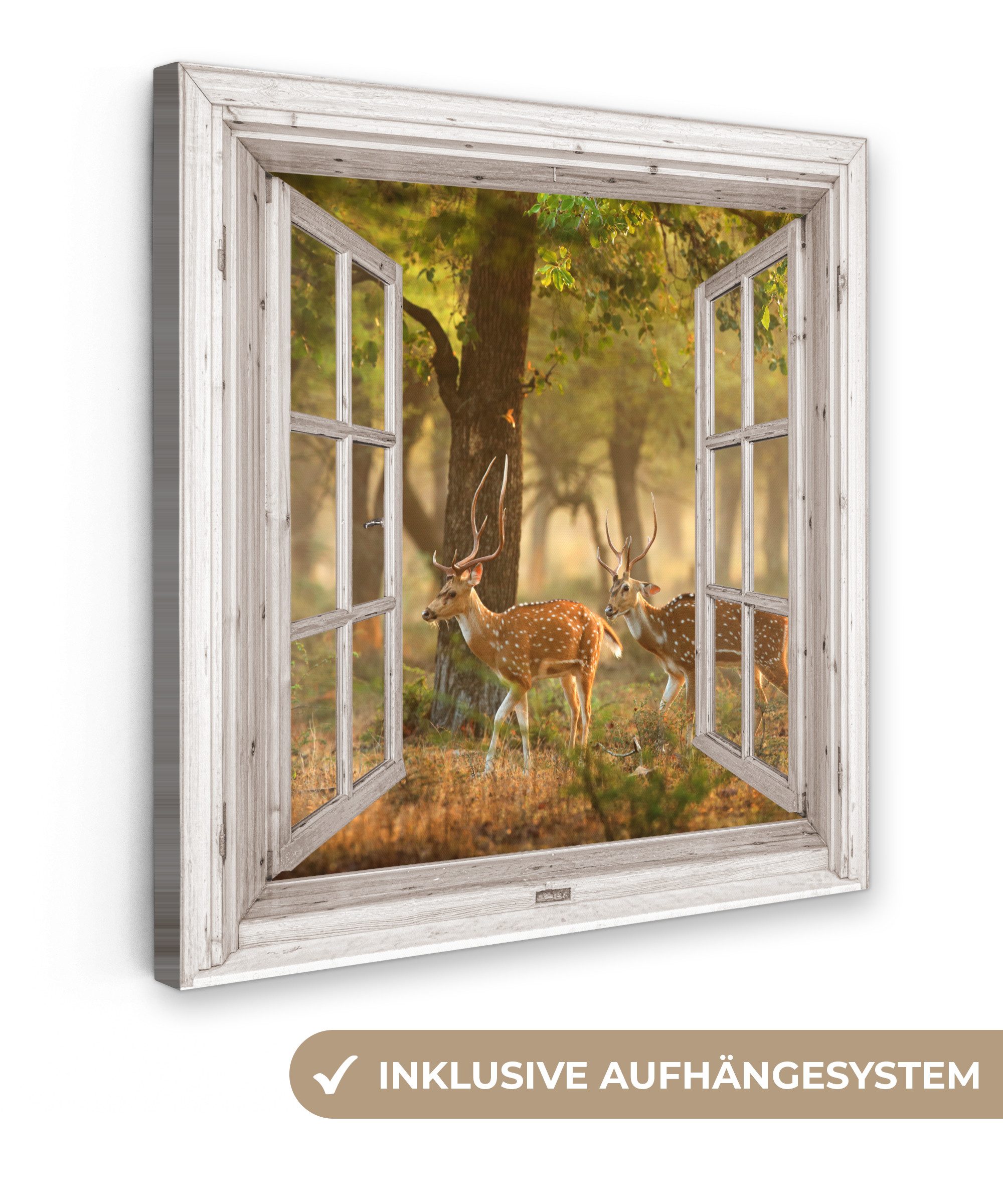 OneMillionCanvasses® Leinwandbild Hirsche - Wald - günstig online kaufen