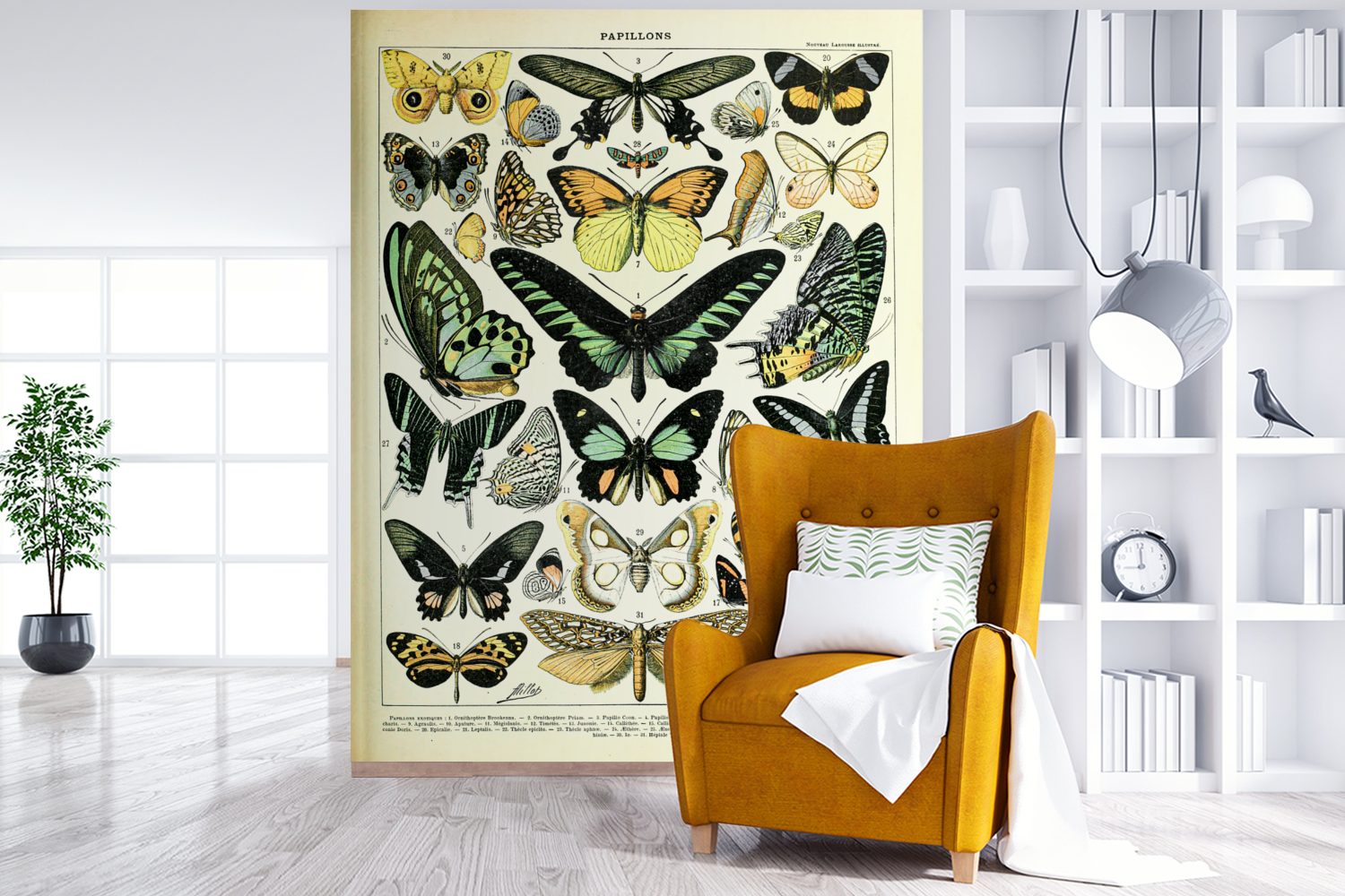 Tiere St), Matt, Vintage, (4 Fototapete Wandtapete Wohnzimmer, Montagefertig für bedruckt, Tapete Schmetterling - MuchoWow Vinyl -