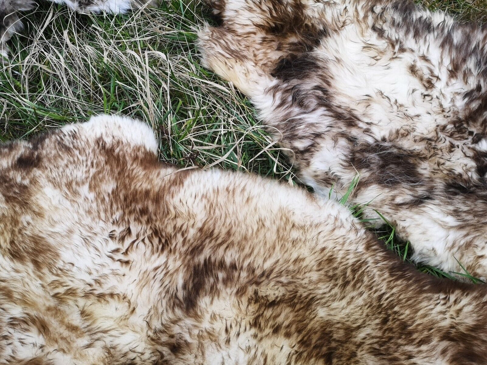 Provellus Fellteppich Geflammtes Öko Schaffell Lammfell Weich Naturfell Bis günstig online kaufen