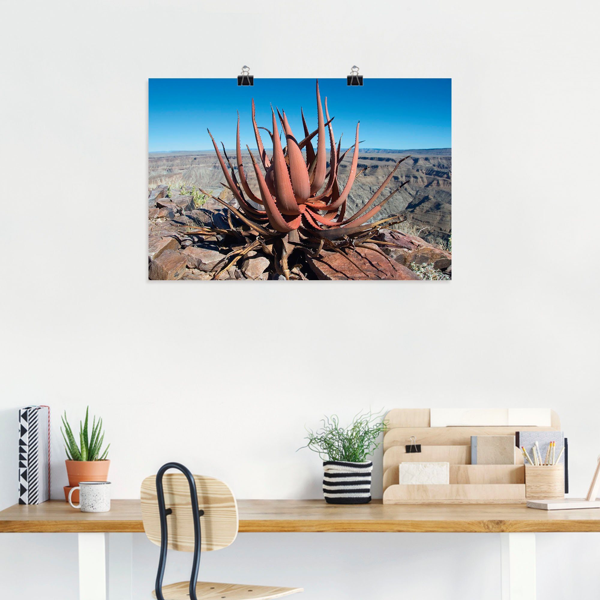 Wandbild Artland Aloe Sukkulente, Leinwandbild, (1 Alubild, St), Poster versch. oder gariepensis, Größen Wandaufkleber als Pflanzenbilder in