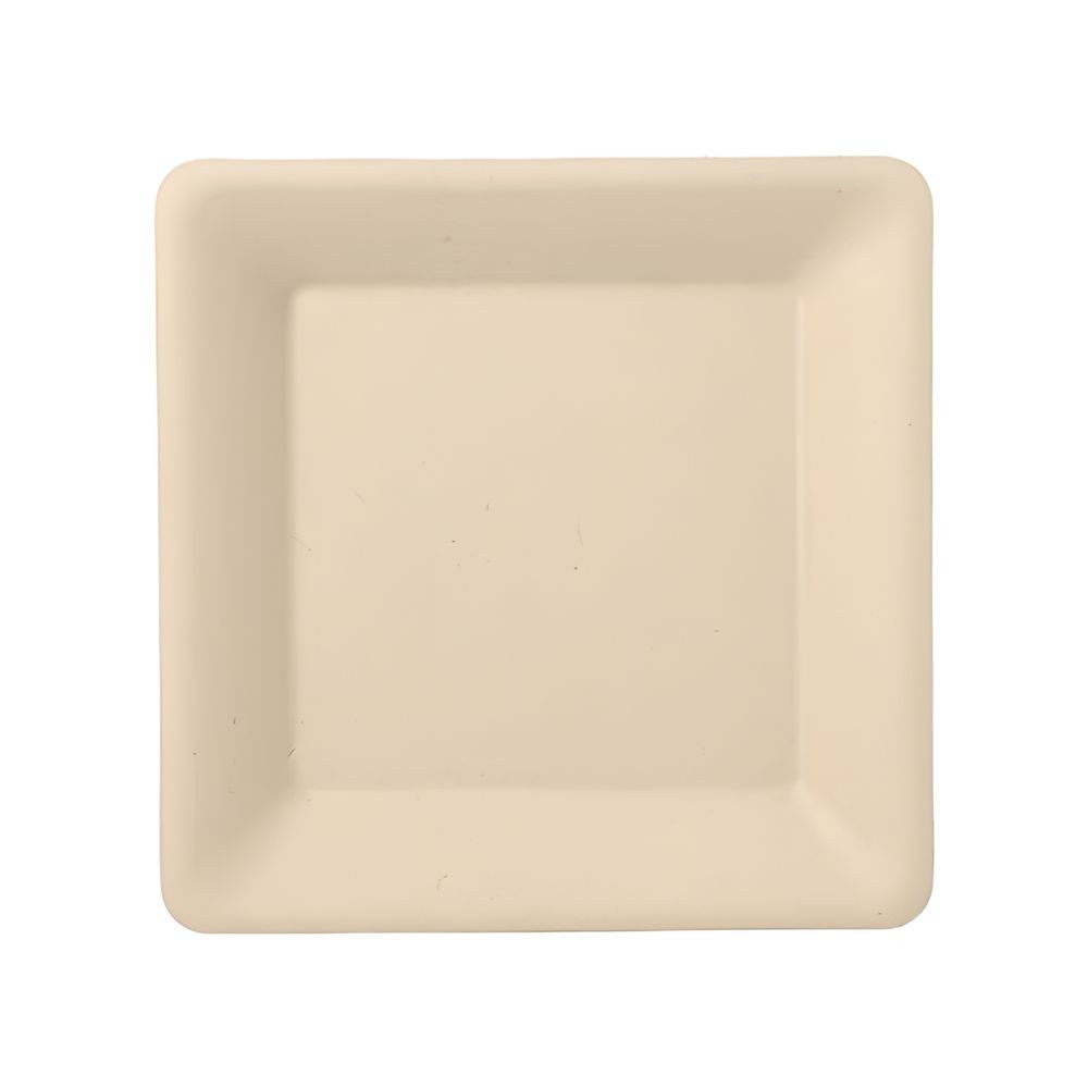 PAPSTAR Einwegteller Teller, Zuckerrohr pure eckig 15,5 cm x 15,5 cm natur 50 Stk
