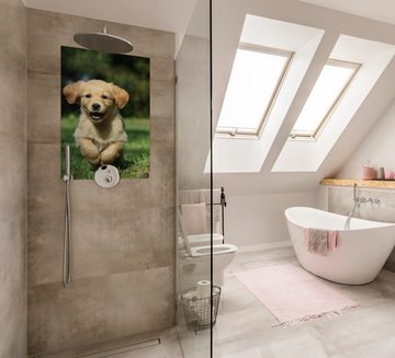 Wallario Wandfolie, Süßer Hund - Golden Retriever, wasserresistent, geeignet für Bad und Dusche
