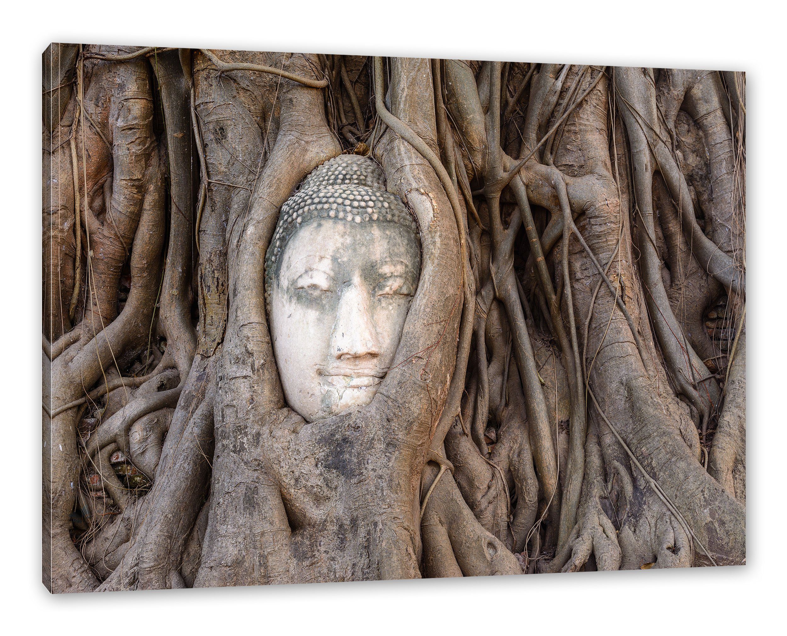 Pixxprint Leinwandbild Buddha Kopf im Baum, Buddha Kopf im Baum (1 St), Leinwandbild fertig bespannt, inkl. Zackenaufhänger