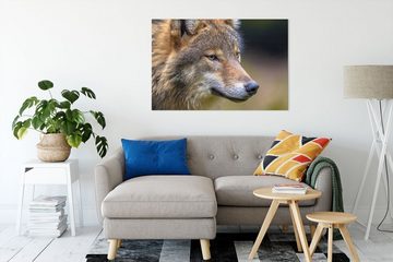 Pixxprint Leinwandbild Porträt des europäischen Wolfes, Porträt des europäischen Wolfes (1 St), Leinwandbild fertig bespannt, inkl. Zackenaufhänger