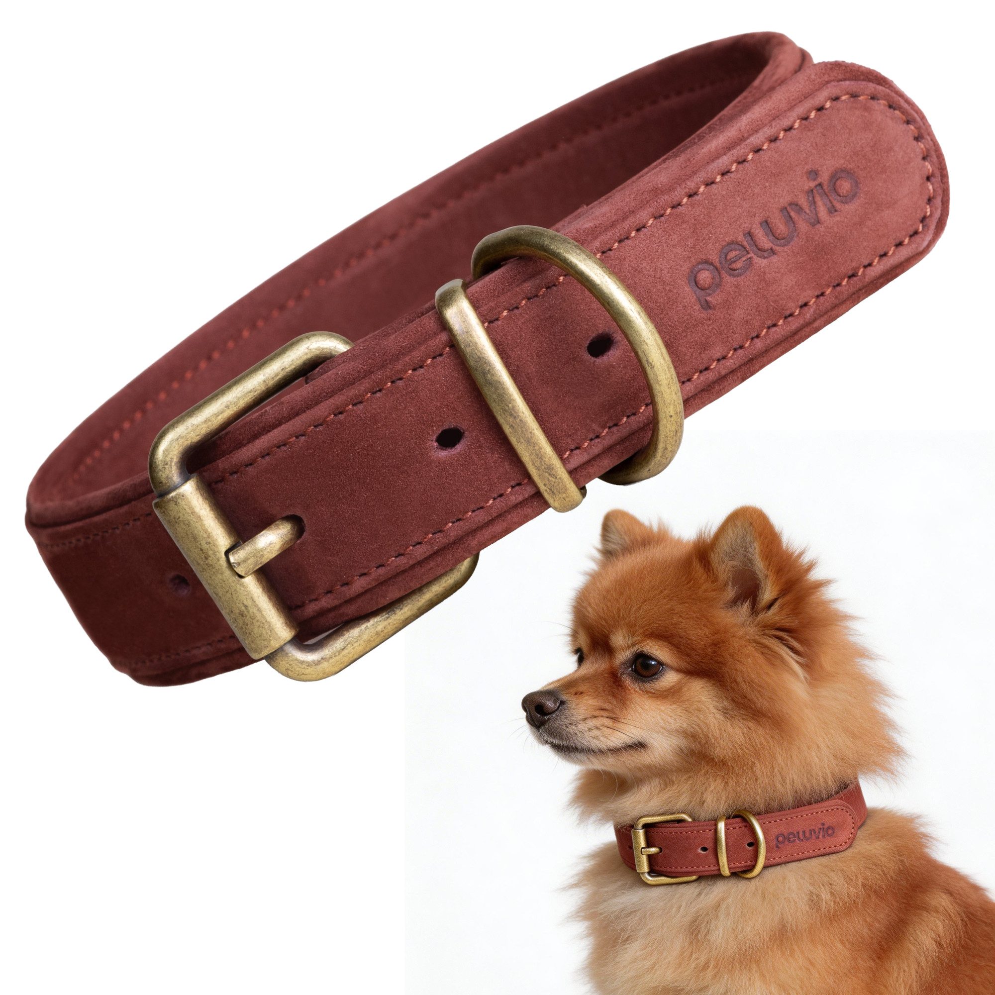lionelo Tier-Halsband REXOR für Hunde und Katzen, Rindsleder/Kupferbeschläge/verstellbar/hautfreundlich