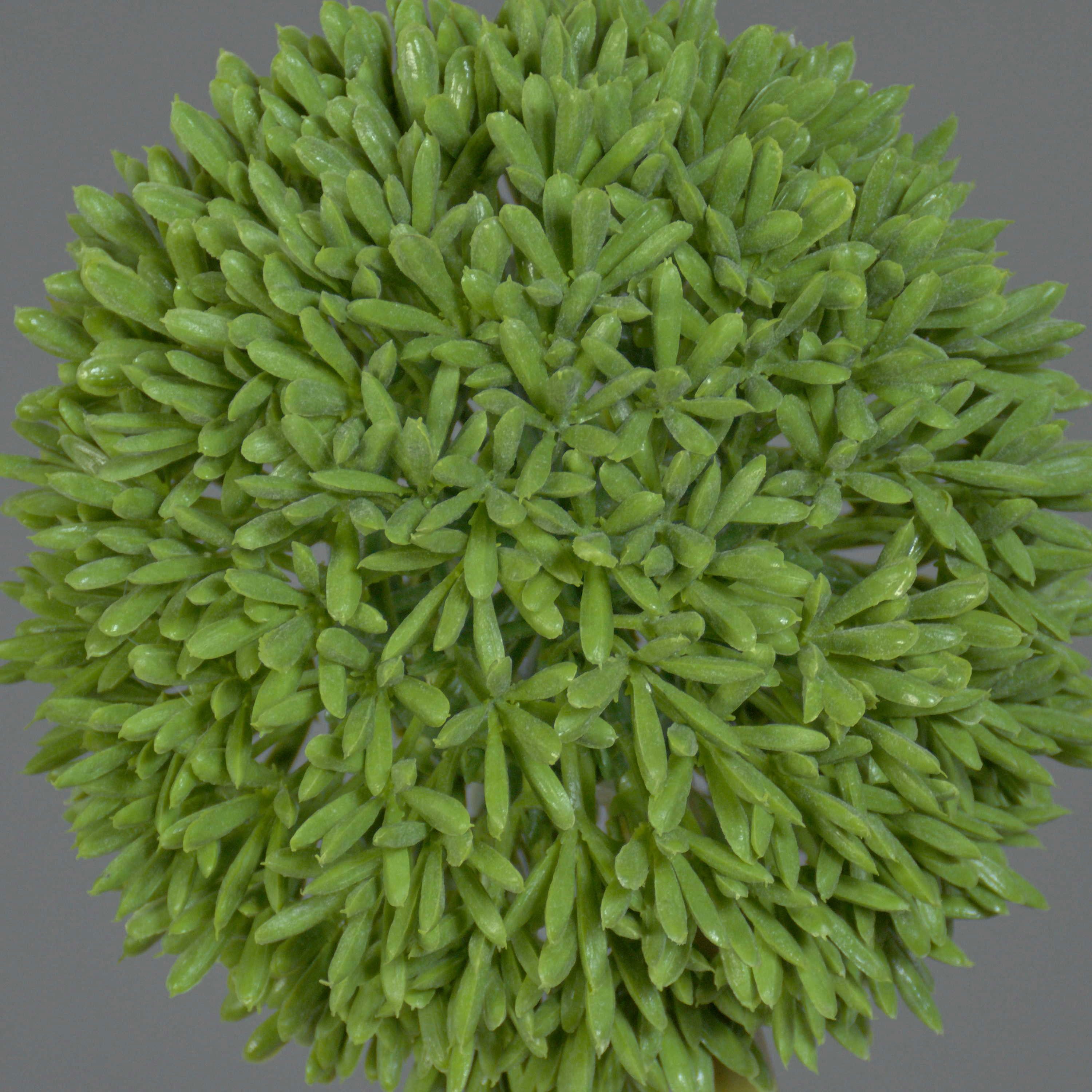 Kunstblume Künstliche Blume Allium BAILIN, grün, 65 cm Allium, artplants, Höhe 65.0 cm