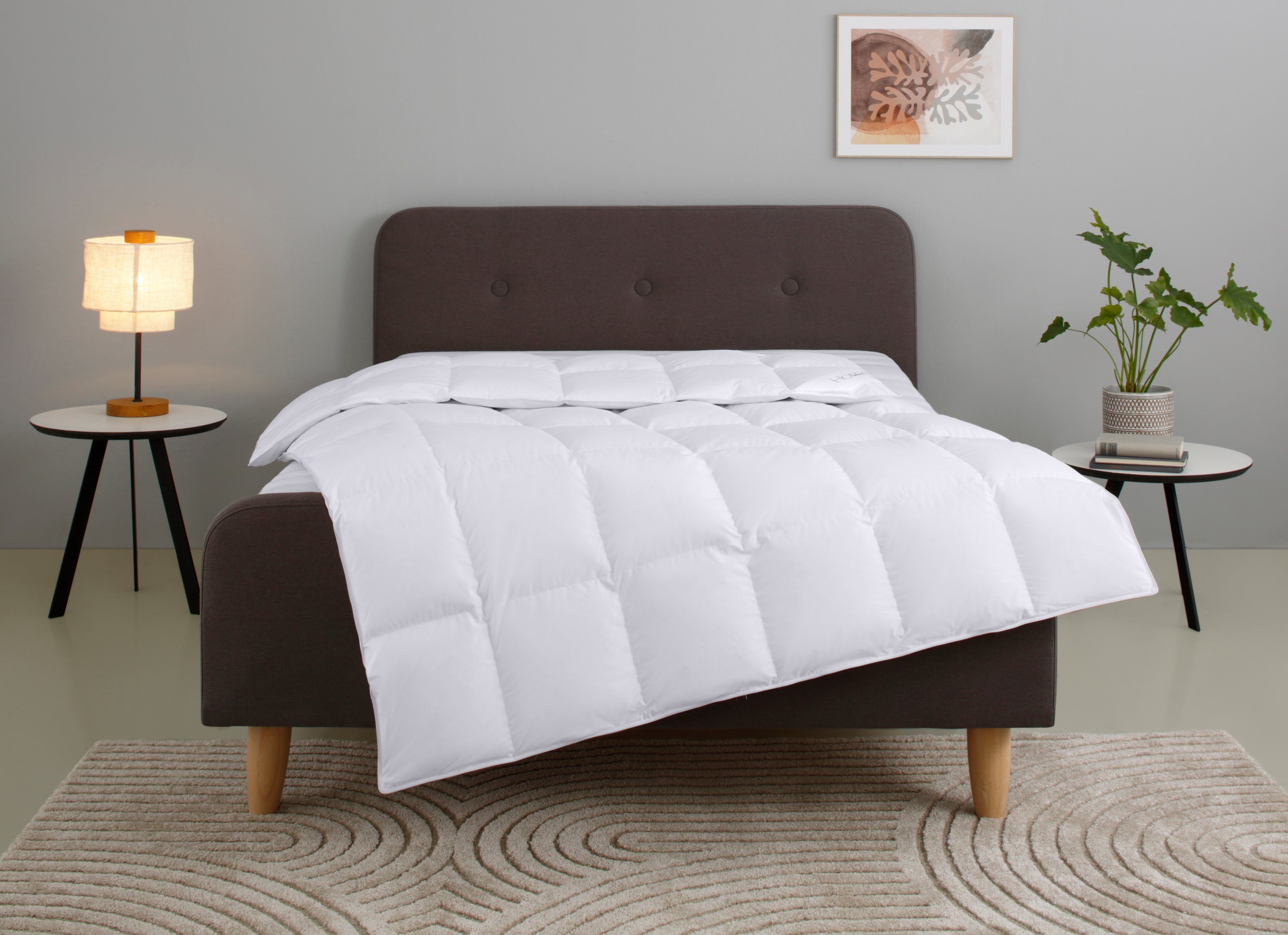 OTTO home Gänsedaunenbettdecke Litrone, Bettdecke 135x200 cm, 155x220 cm, 200x200 cm, 240x220 cm, Füllung: 100% Gänsedaunen, Bezug: Baumwolle, Bettdecken, Sommer, Winter, Ganzjahresdecke, Decke, Made in Germany