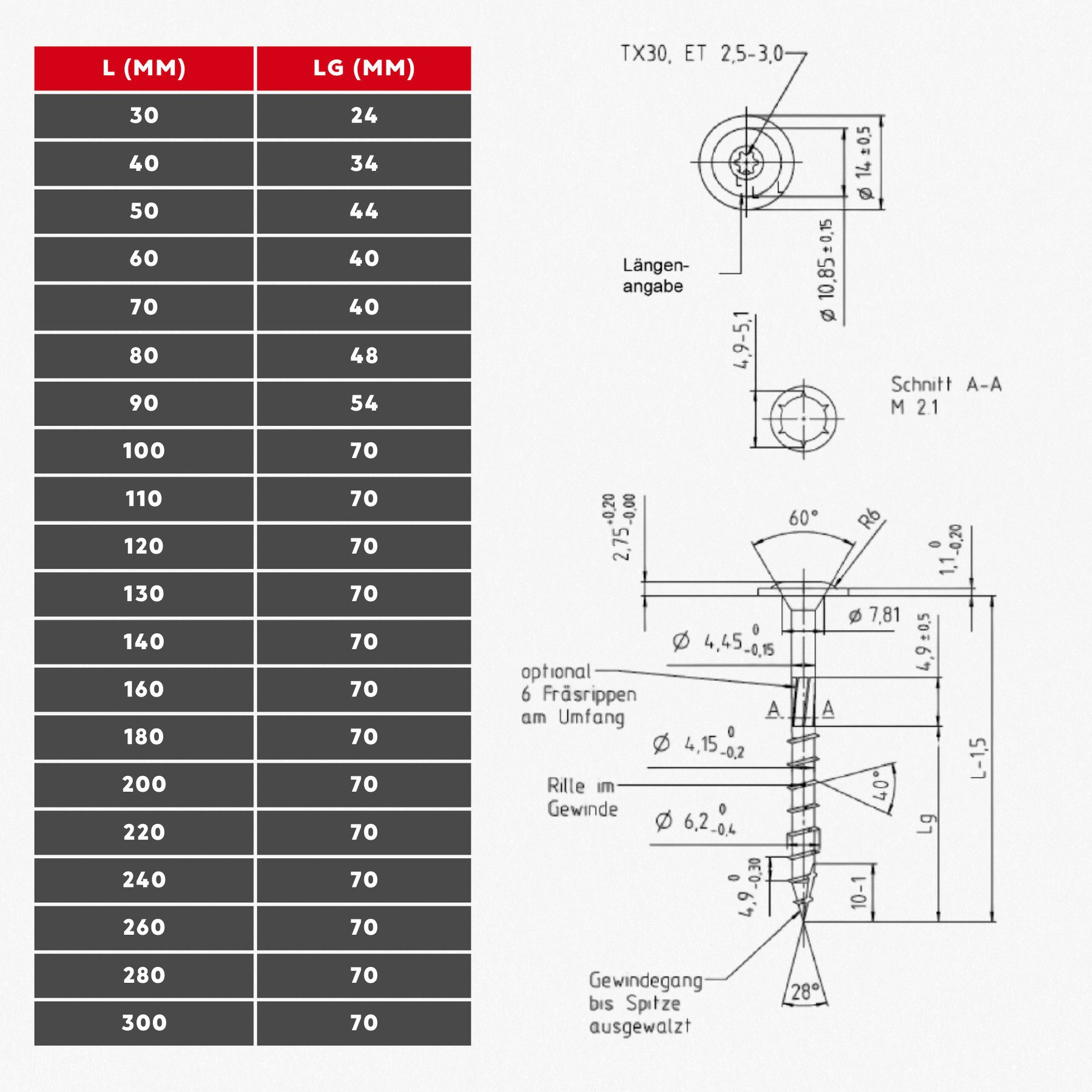 SCREWREBEL Holzbauschraube Tellerkopfschraube hell verzinkt mit ETA Zulassung und Torx Antrieb, (100 St), großer Kopf für hohe Klemmkraft, hohe Belastbarkeit, robust