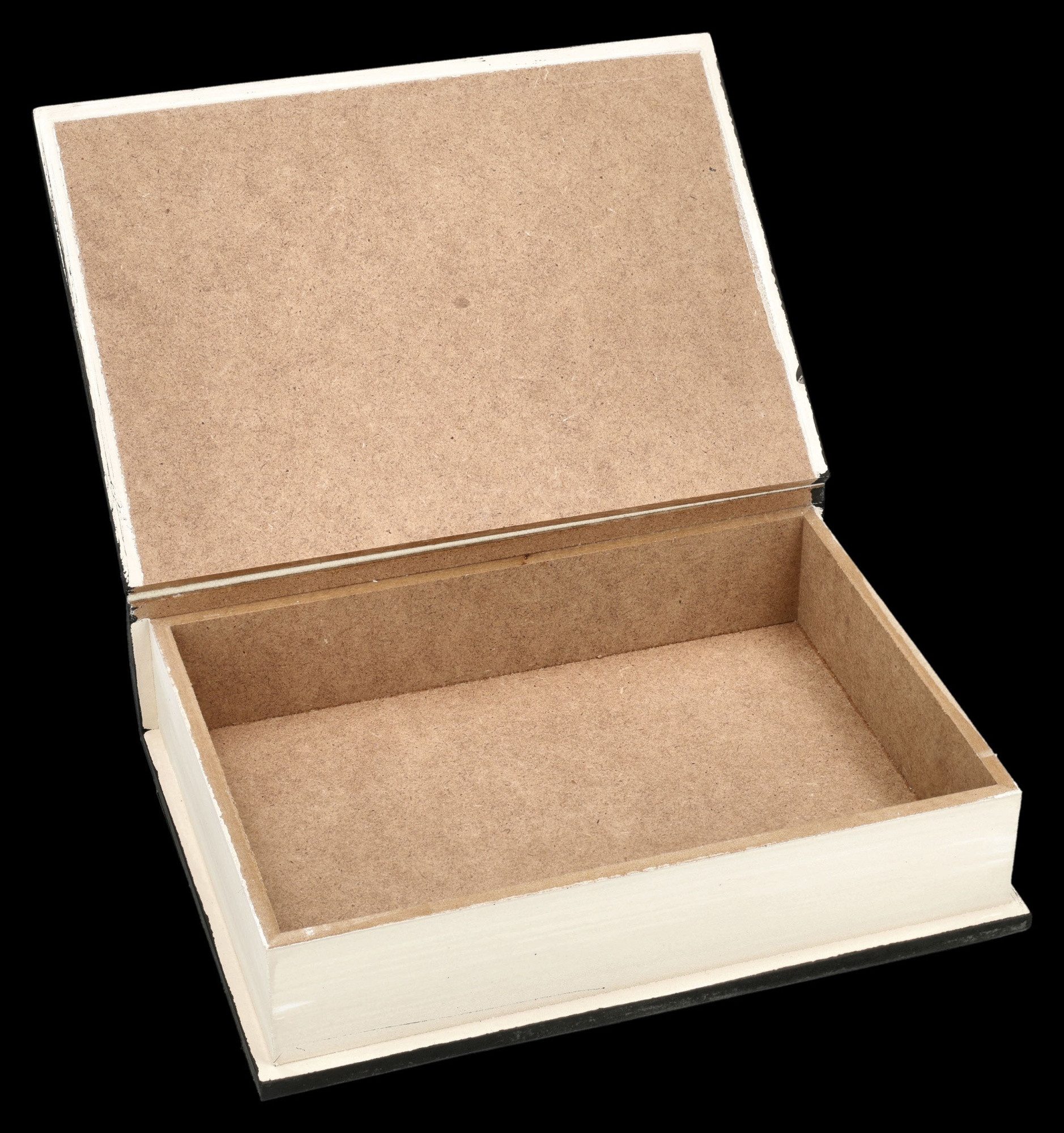 Figuren Shop GmbH Dekoobjekt Buchbox Gothic – Horror Versteck Aufbewahrung Fantasy 21 cm Dekobox