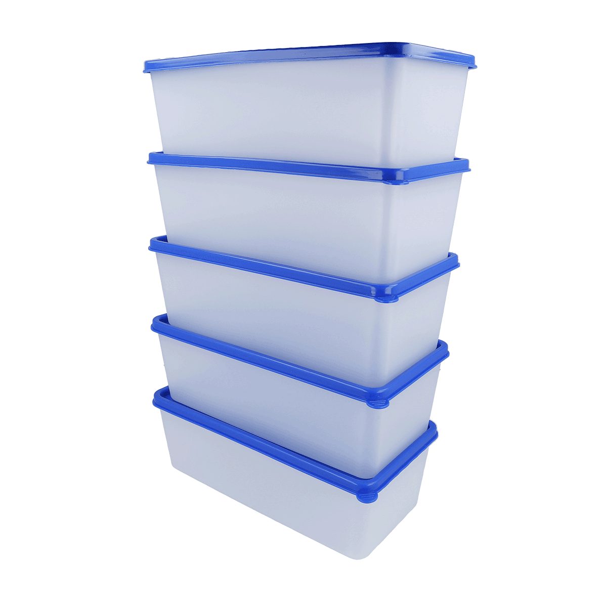 EUROHOME Vorratsdose Gefrierdosen Set 1L zum Frischhalten und Gefrieren, Kunststoff, (Set, 1-tlg., Frischhaltedose im 5er Set), Gefrierdosen mit fest Deckel - Vorratsdosen Set