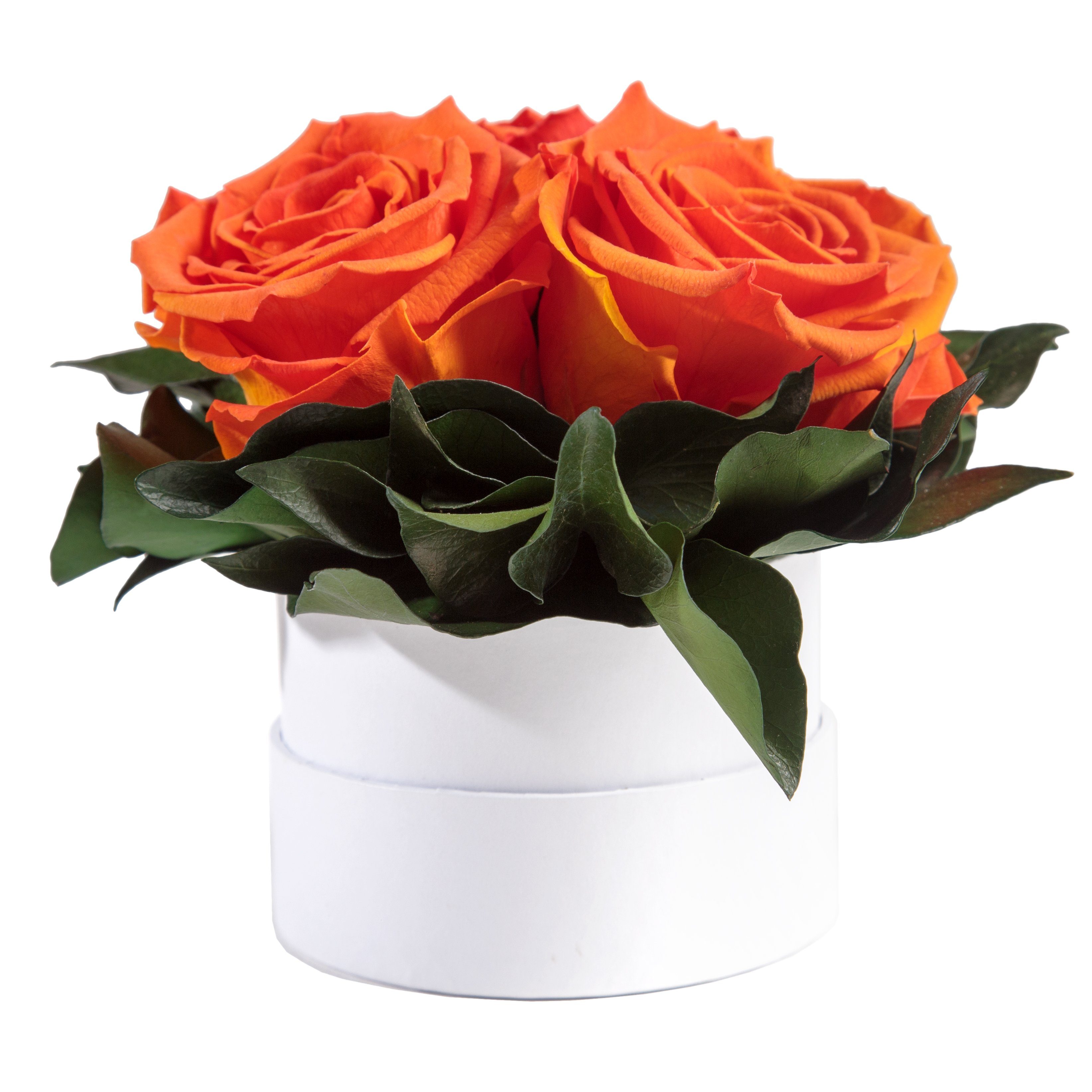 Infinity echte Geschenk SCHULZ Kunstblume weiß Heidelberg, rund 10 Rose, Höhe Orange cm, konserviert für Rosen Rosenbox ROSEMARIE Rosen 3 Sie