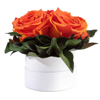 Kunstblume Infinity Rosenbox weiß rund 3 echte Rosen konserviert Rose, ROSEMARIE SCHULZ Heidelberg, Höhe 10 cm, Geschenk für Sie Rosen