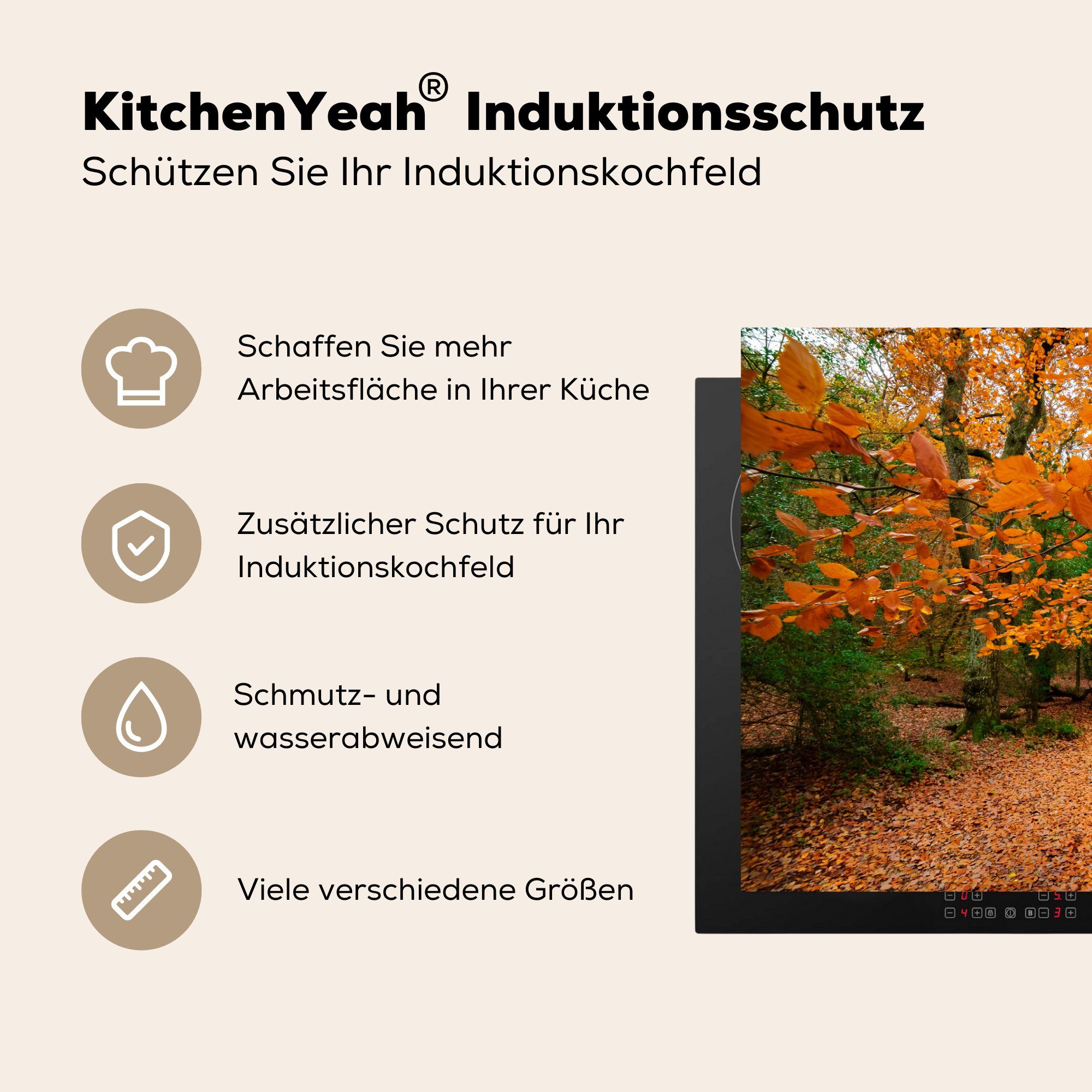 in Wälder Park für MuchoWow Induktionskochfeld (1 cm, Herdblende-/Abdeckplatte tlg), England, 81x52 Vinyl, Die küche, Schutz National Dartmoor die des herbstlichen Ceranfeldabdeckung