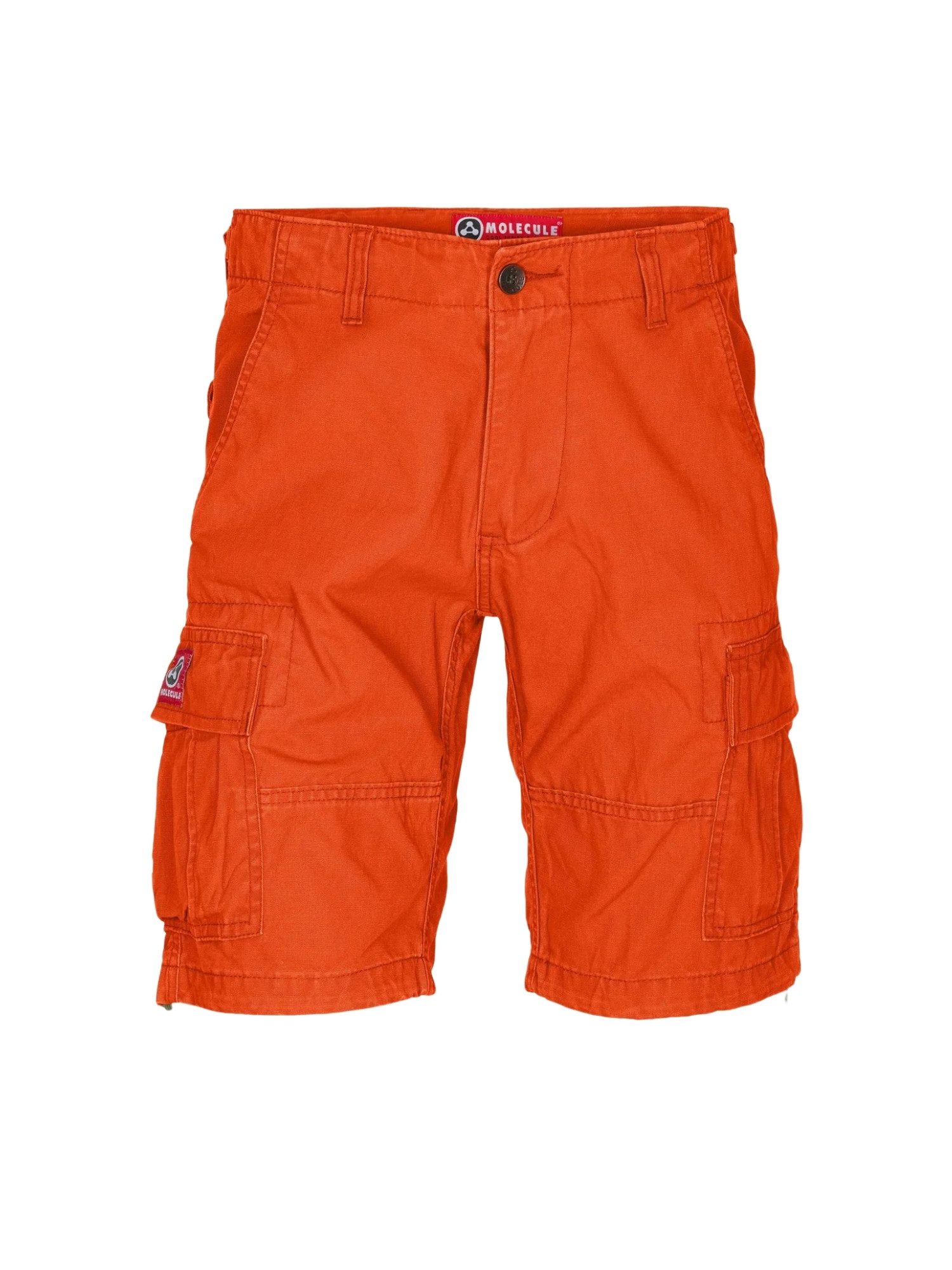 Molecule Cargoshorts Molecule Cargo Shorts Fitted