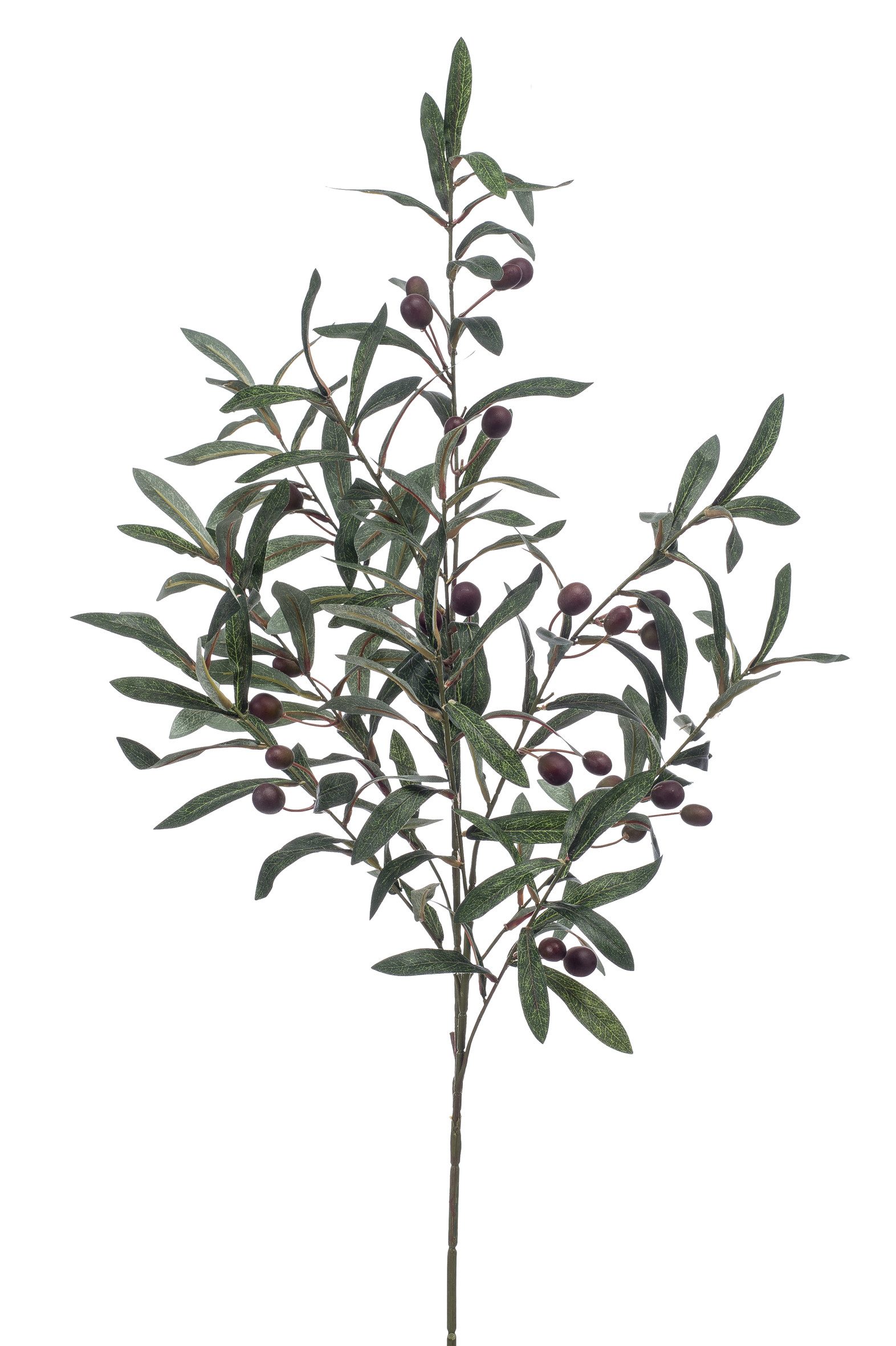 Kunstpflanze Olive, Emerald, Höhe 100 cm, Farbe: Grün, Höhe: 100cm