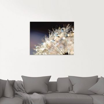 Artland Glasbild Pusteblume Fantasie, Blumen (1 St), in verschiedenen Größen
