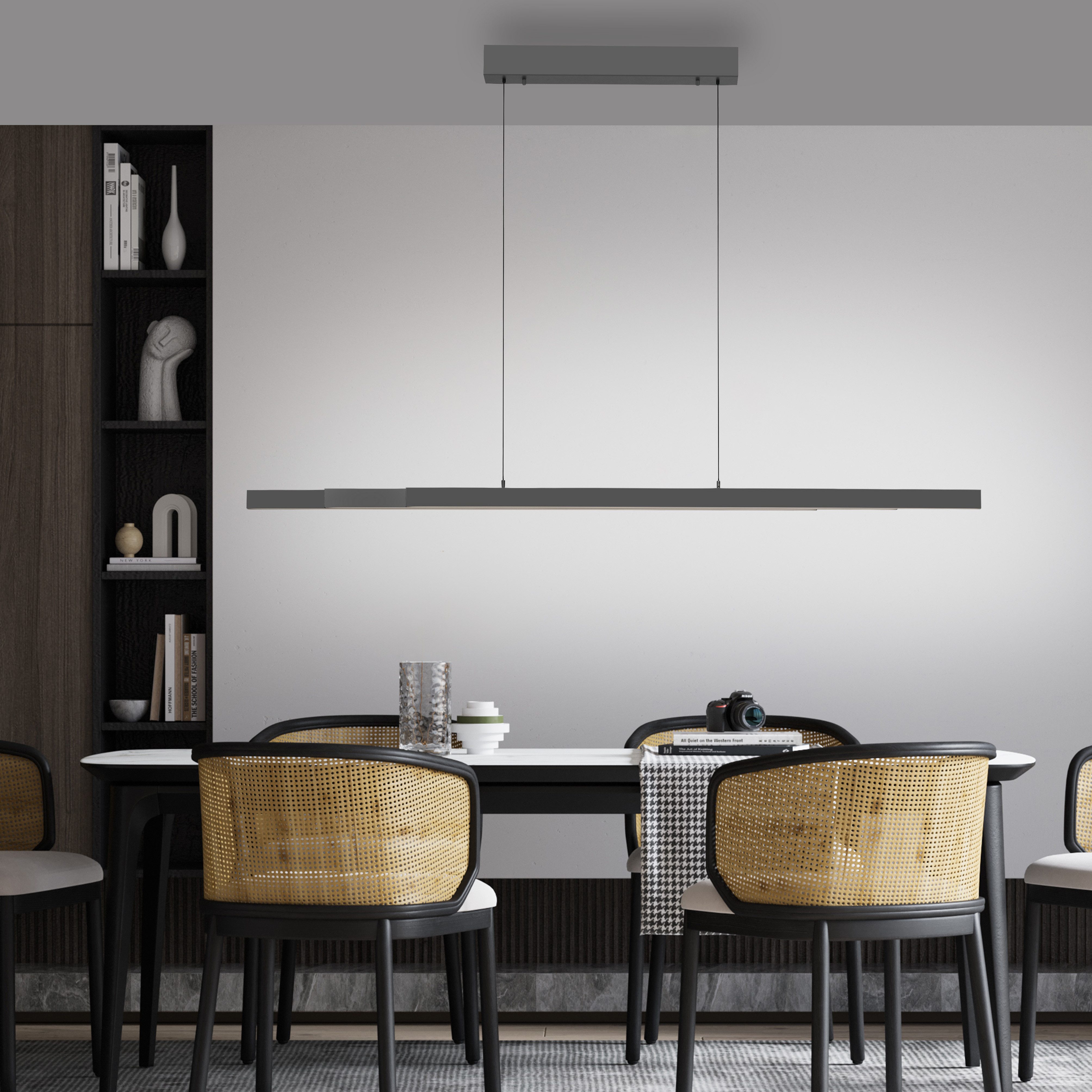 Paul Neuhaus LED Pendelleuchte ADRIANA Comfort Lift, Farbsteuerung, LED fest integriert, warmweiß - kaltweiß, Touchdimmer, CCT 2700-5000K, Comfort-Lift, Memory, Verstellbar