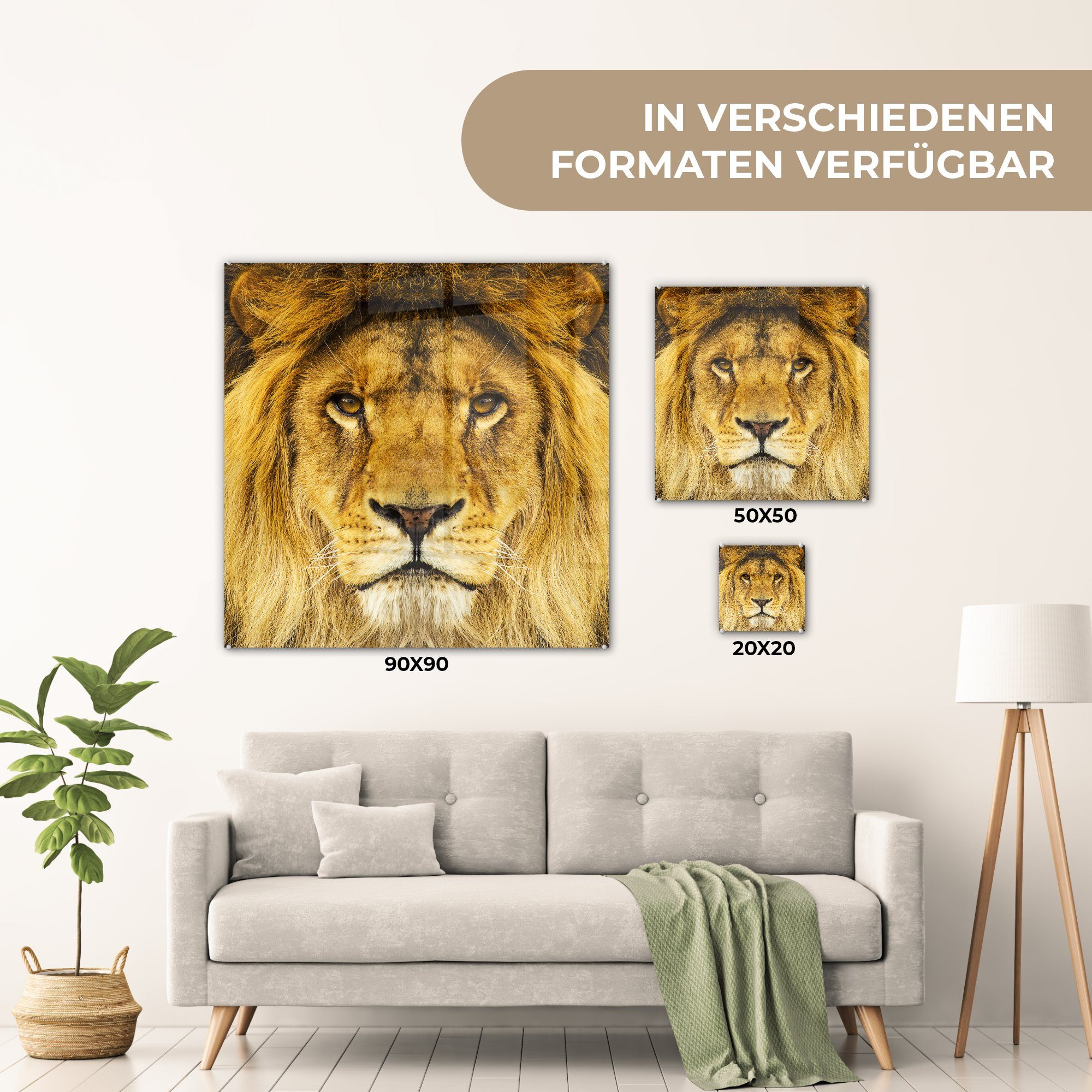 MuchoWow Acrylglasbild Löwe - Porträt - auf auf Foto Wandbild (1 Braun, St), Wanddekoration Glas Glas - Bilder Glasbilder - 