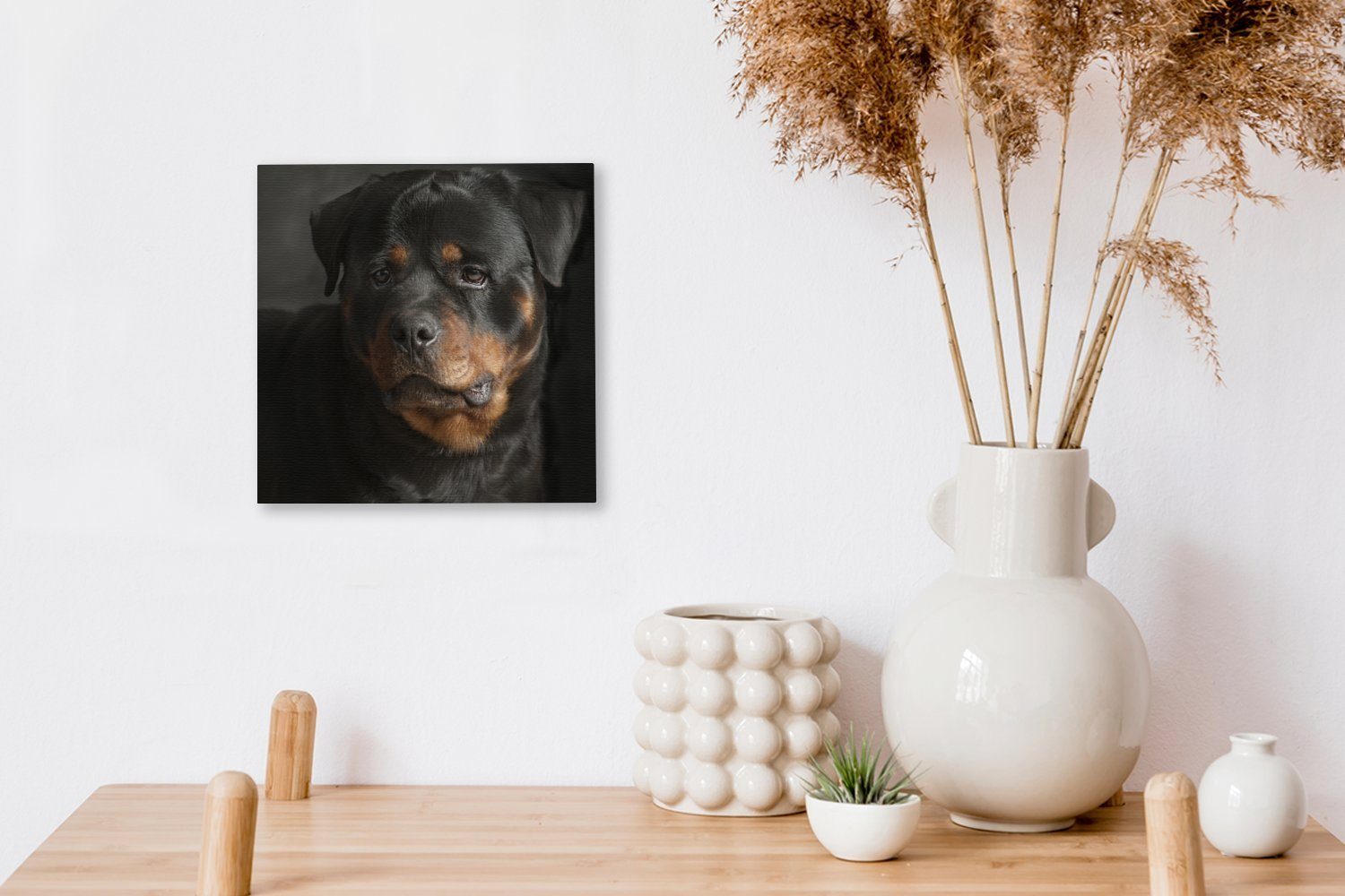 St), Leinwandbild Porträt Rottweilers Bilder eines Atelier, Wohnzimmer im Leinwand (1 Schlafzimmer OneMillionCanvasses® für