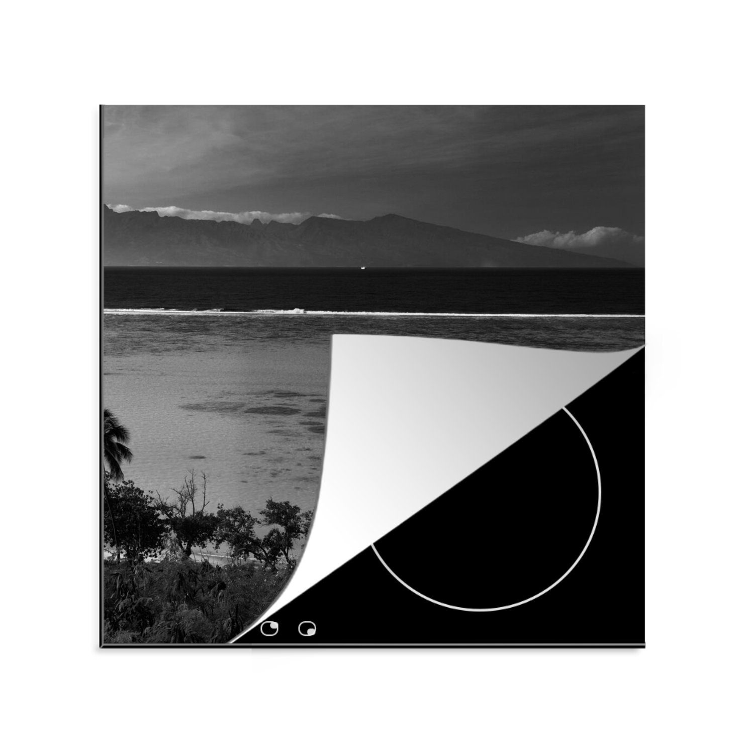 MuchoWow Herdblende-/Abdeckplatte Palmen an der Küste von Mo'orea mit klarem blauem Wasser im, Vinyl, (1 tlg), 78x78 cm, Ceranfeldabdeckung, Arbeitsplatte für küche