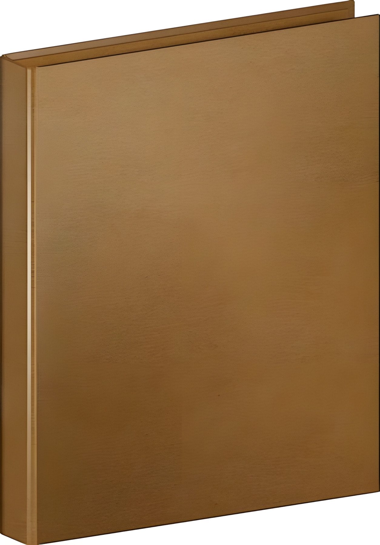 BRUNNEN Ringbuchmappe BRUNNEN 1065560 Ringbuch Pimp it up! Karton mit kaschiertem Überzug