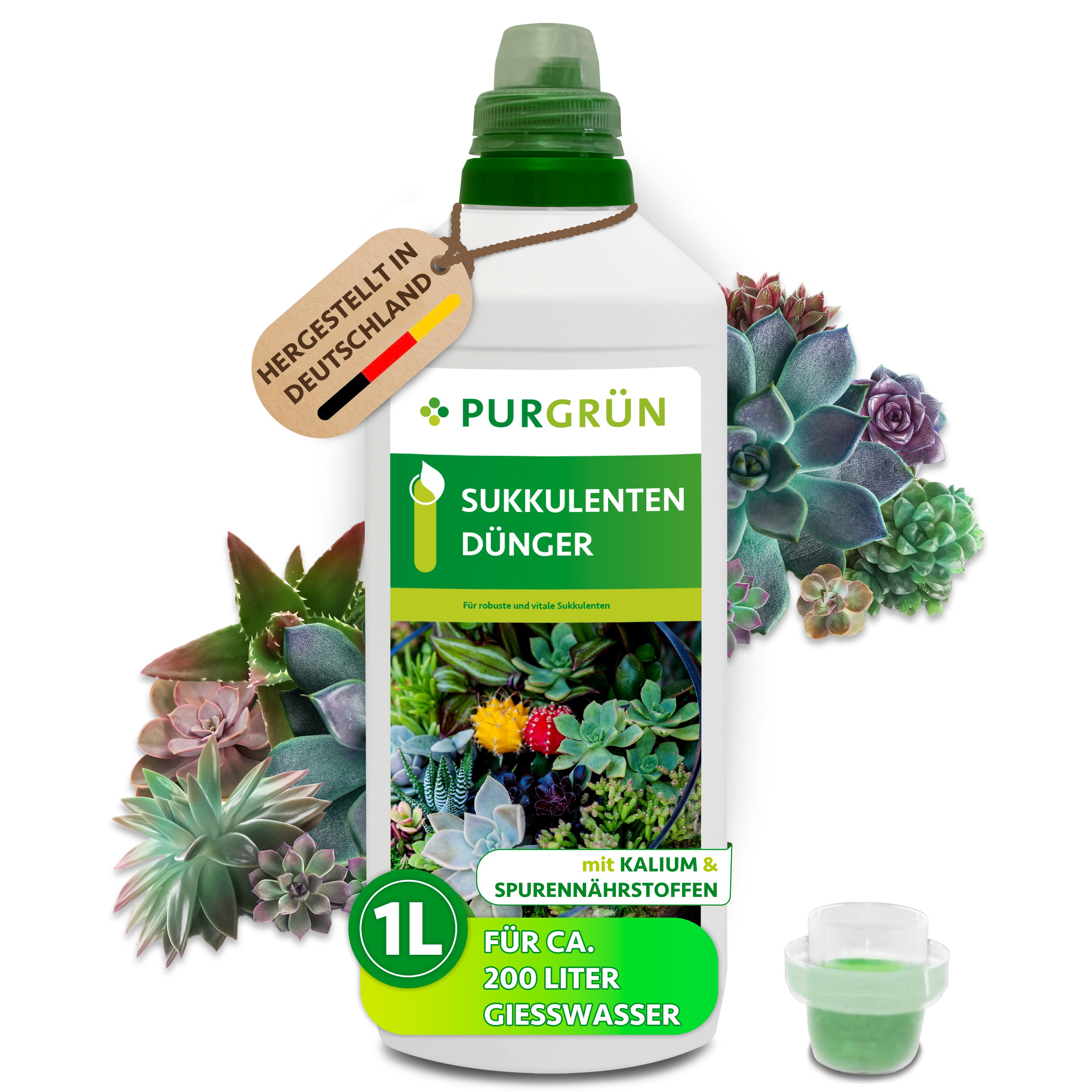 Purgrün Pflanzendünger Sukkulenten Dünger, NPK 3+5+7, reduziert Trockenstress, 1L, Flüssigdünger, 1-St., 1 Liter