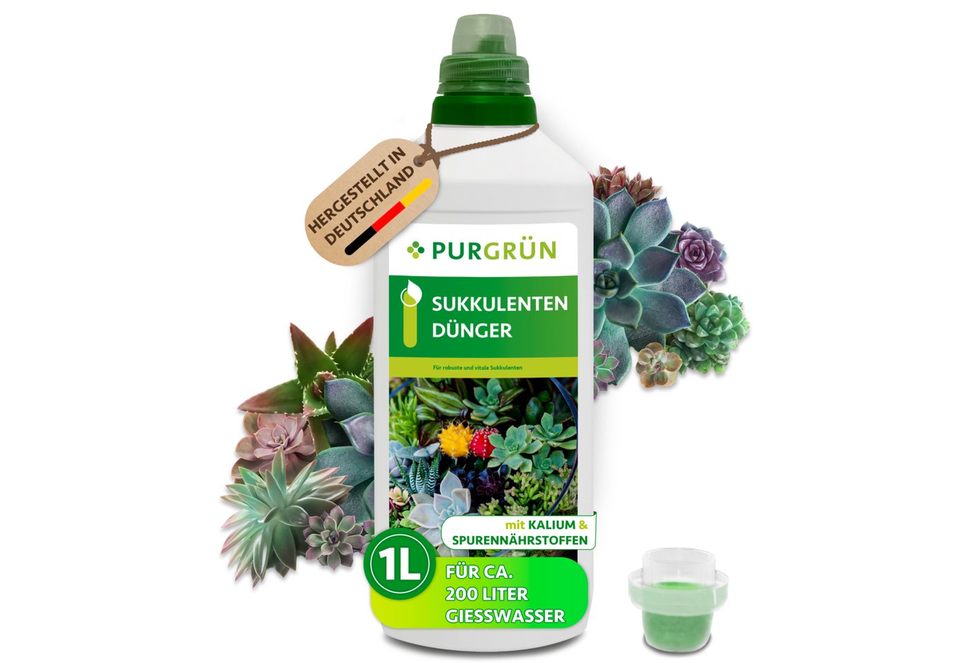 Purgrün Pflanzendünger Sukkulenten Dünger, NPK 3+5+7, reduziert Trockenstress, 1L, Flüssigdünger, 1-St., 1 Liter