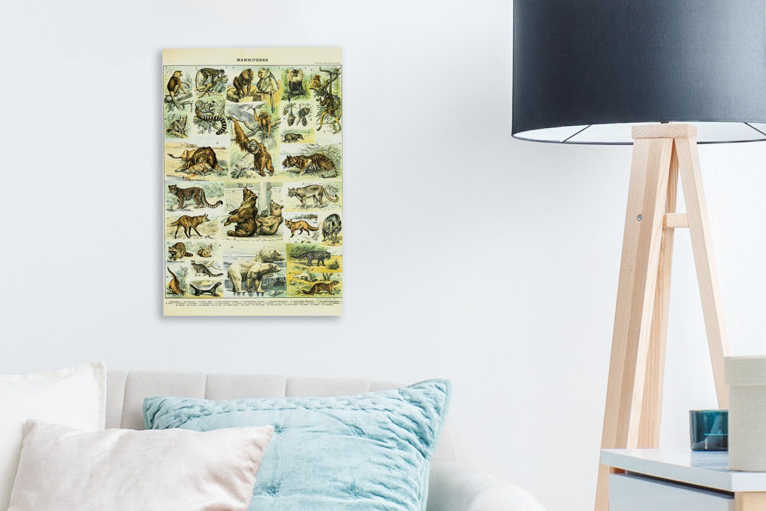 Zackenaufhänger, cm Affe (1 20x30 Leinwandbild bespannt Gemälde, Leinwandbild OneMillionCanvasses® Bären, fertig St), - inkl. - Tiere