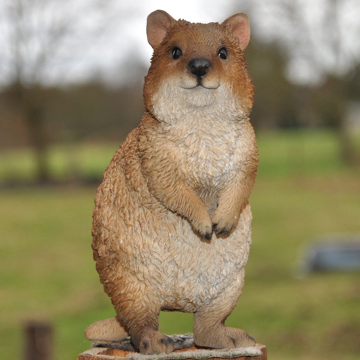 dazikemo Gartenfigur Dekofigur Gartenfigur Erdmännchen