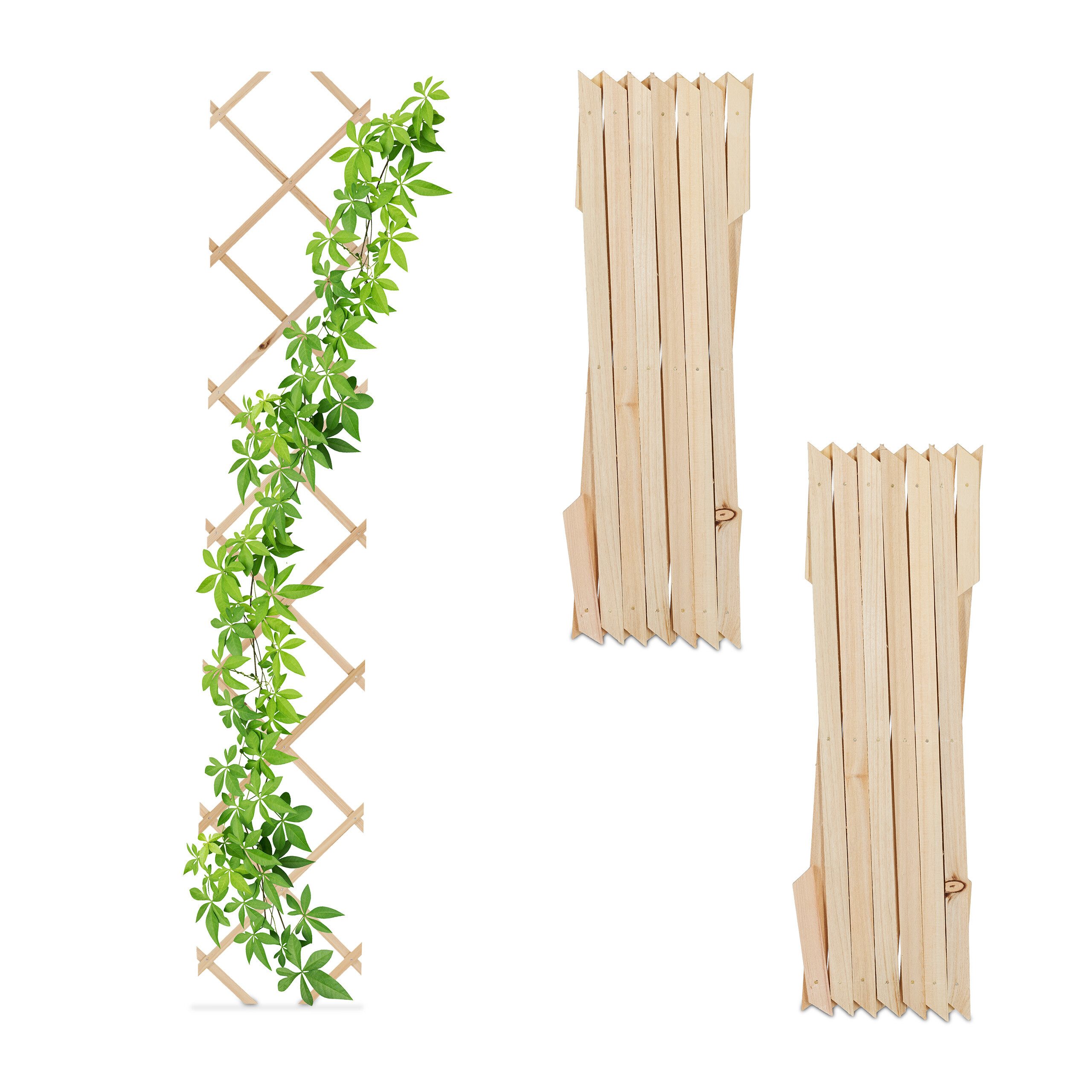 relaxdays Rankgitter Ausziehbares Rankgitter im 3er günstig online kaufen