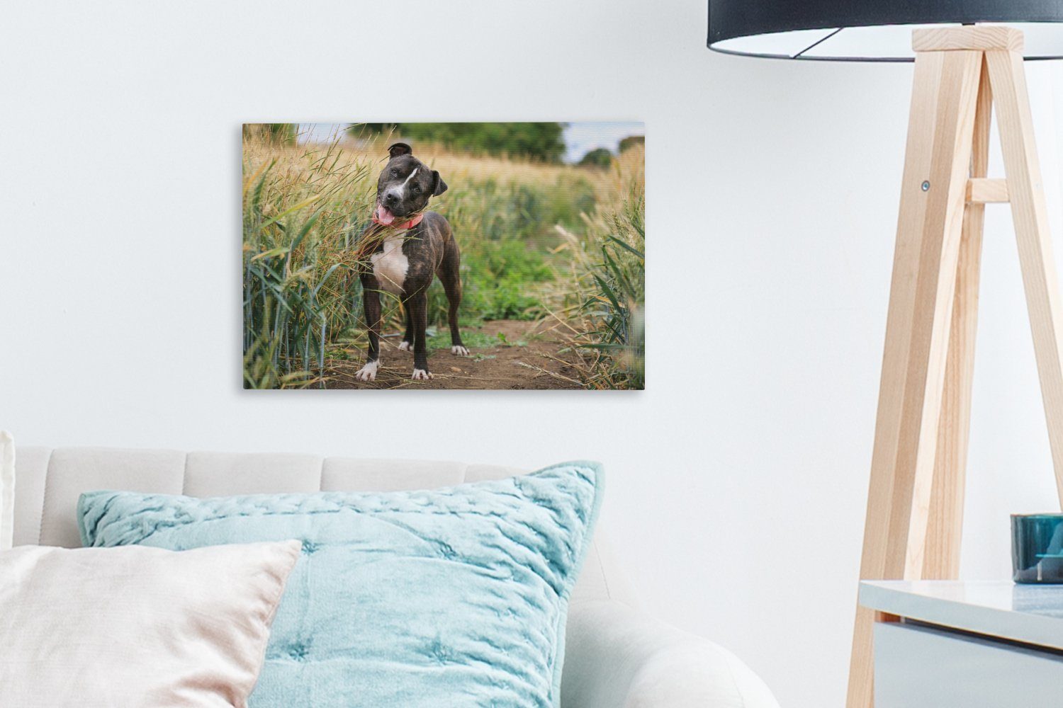 Bull Wanddeko, Terrier im hohen 30x20 Gras, Leinwandbild OneMillionCanvasses® Leinwandbilder, St), Staffordshire (1 cm Aufhängefertig, Ein Wandbild