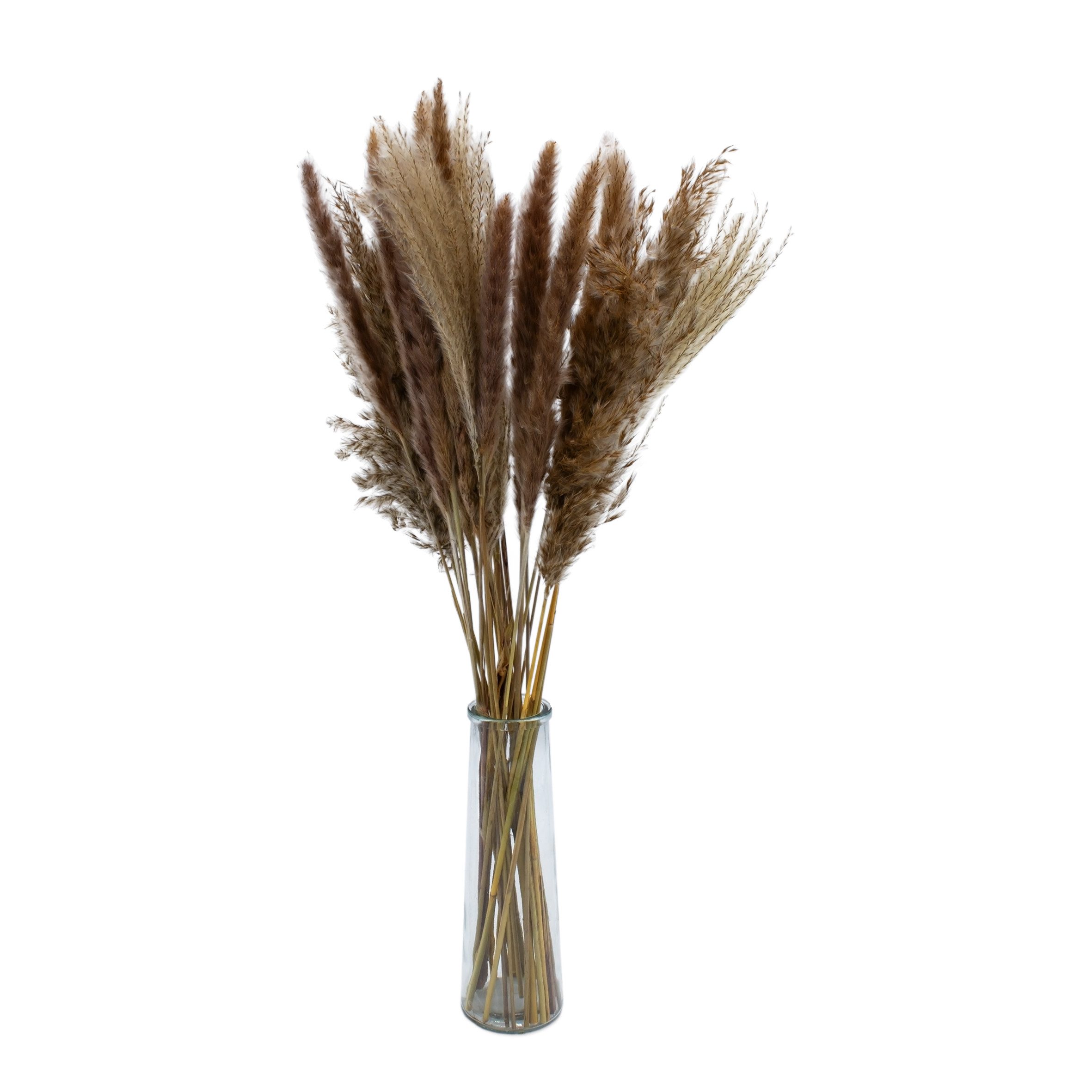 Trockenblume Bündel