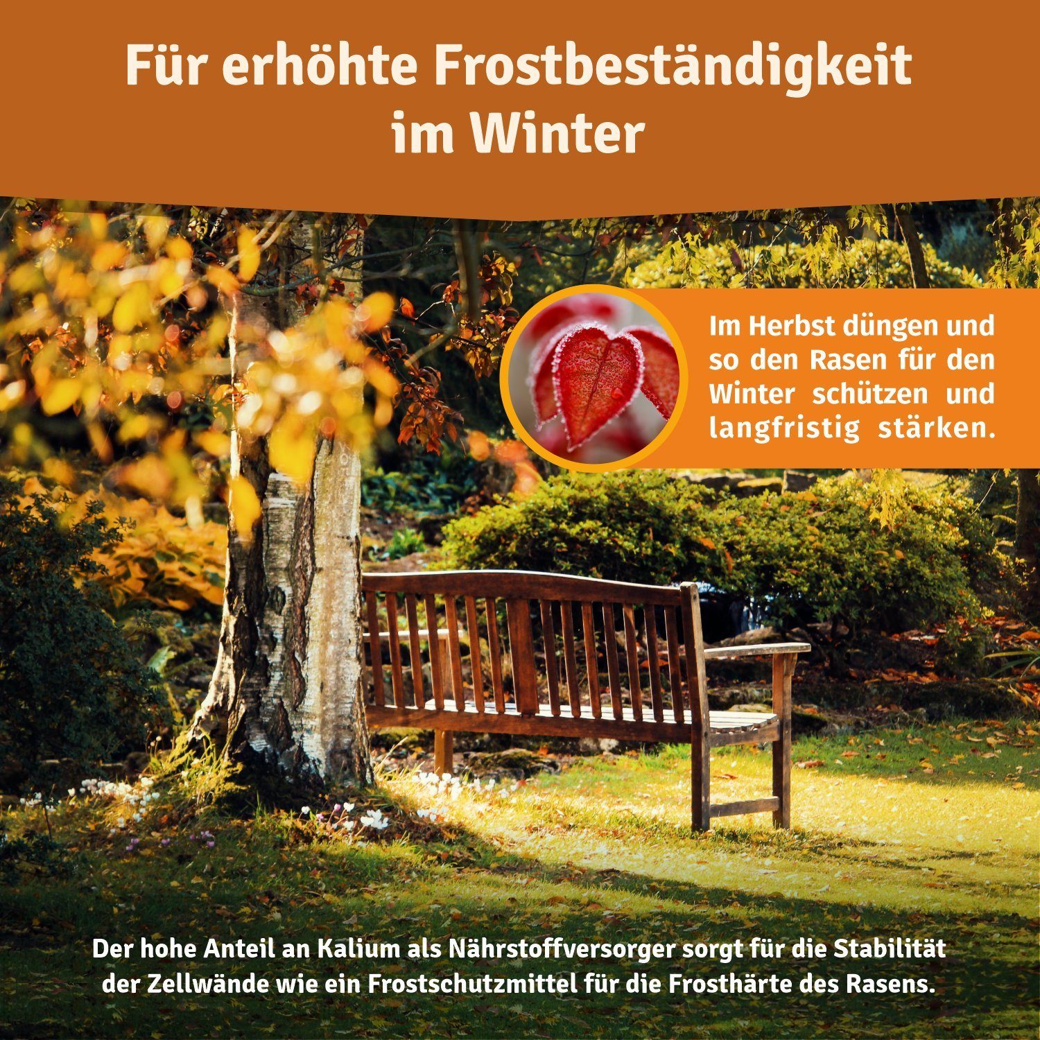 Veddelholzer Rasendünger Bio Herbstrasendünger Langzeit-Wirkung, Kalium, fr günstig online kaufen