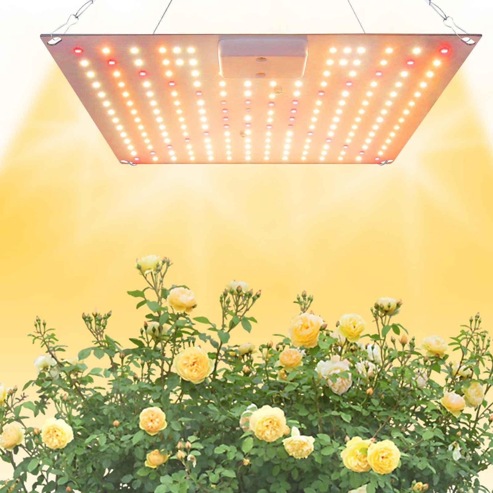 Sunicol Pflanzenlampe 25/45/65W, 192/240/360LEDs, mit Gänseblümchenkette, LEDs, 3000K Warmweiß, 5000K Weiß, 620nm Rot, 385nm UV, 730nm IR