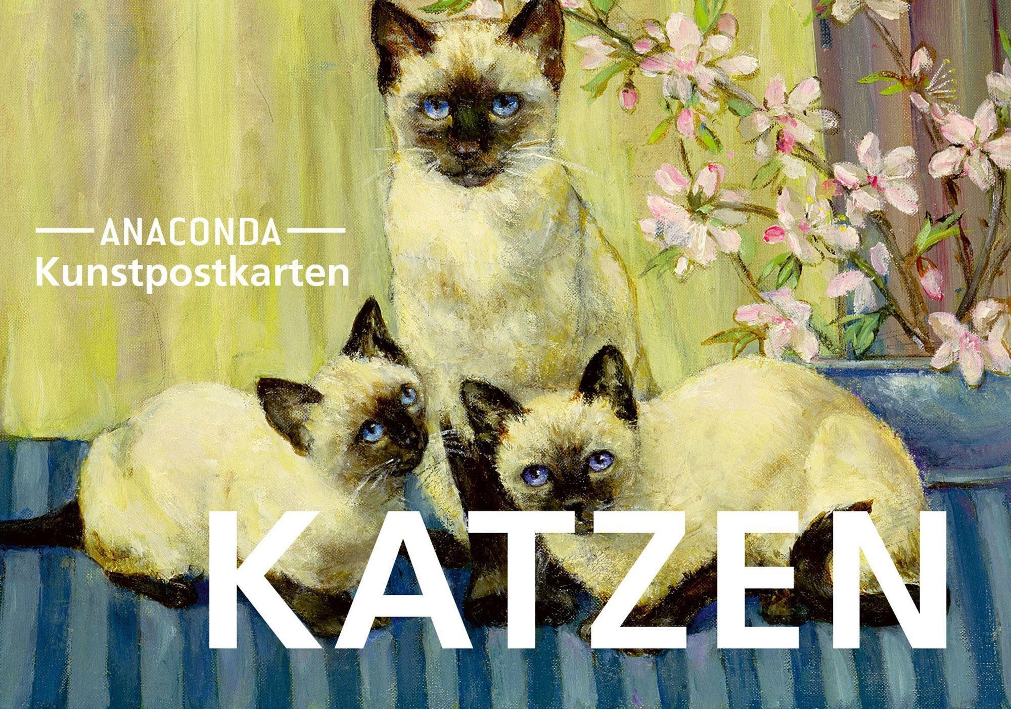 Anaconda Verlag Grußkarten Postkarten-Set Katzen