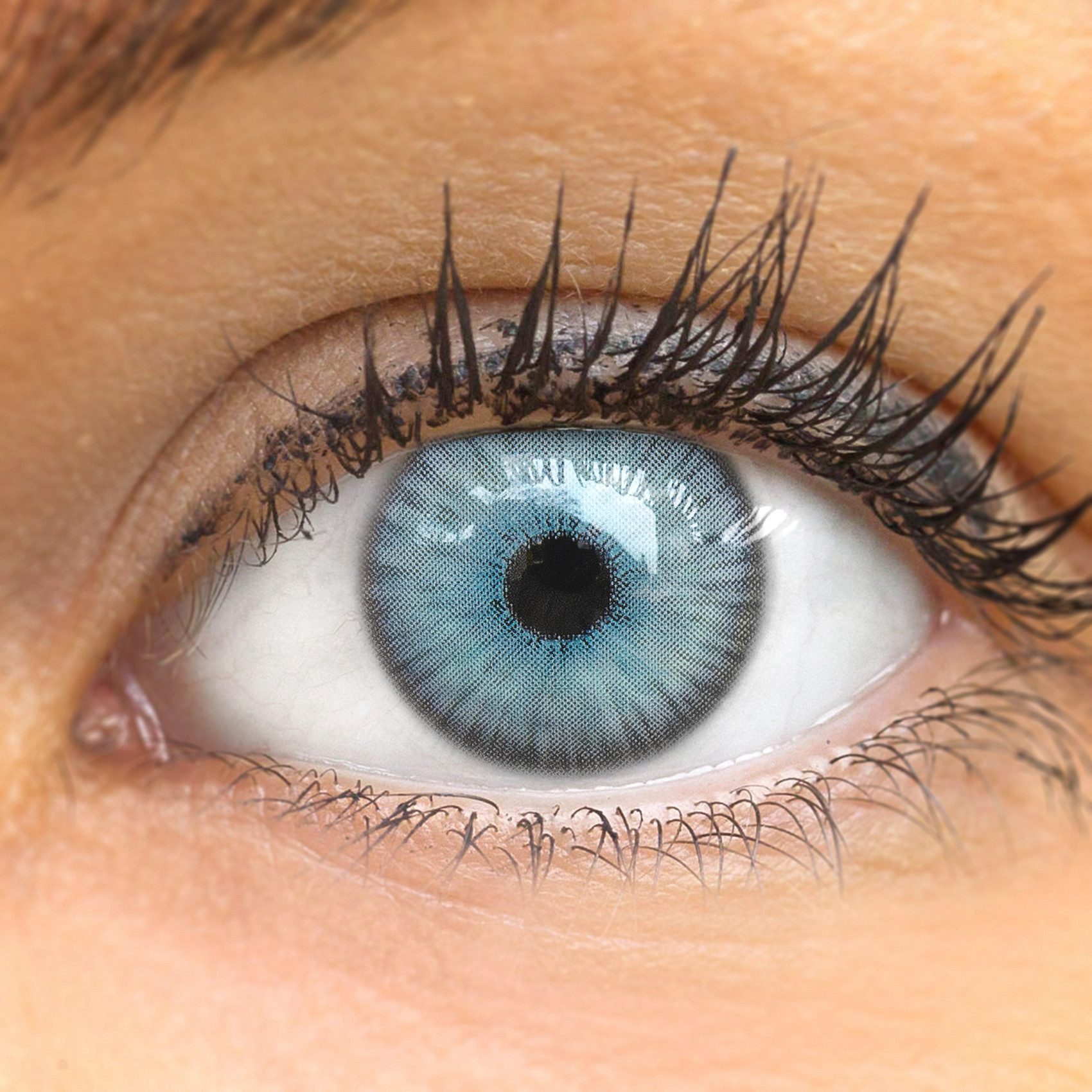 GLAMLENS Monatslinsen Kontaktlinsen grau blau farbige 'Limone FE Ice Gray' ohne Stärke