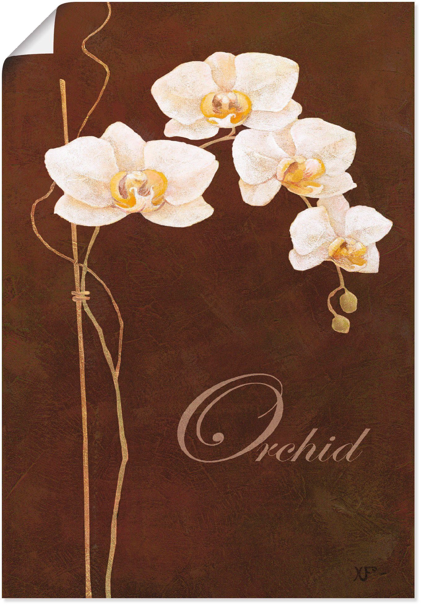 Größen Wandbild oder in Artland Wandaufkleber Leinwandbild, versch. Blumen St), (1 Alubild, als Poster Zarte Orchidee,