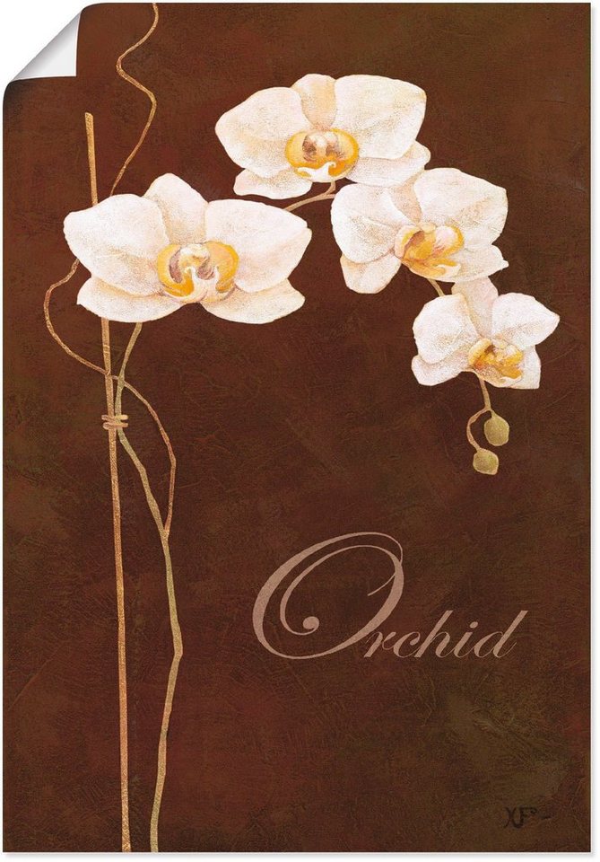 Artland Wandbild Zarte Orchidee, Blumen (1 St), als Alubild, Leinwandbild,  Wandaufkleber oder Poster in versch. Größen
