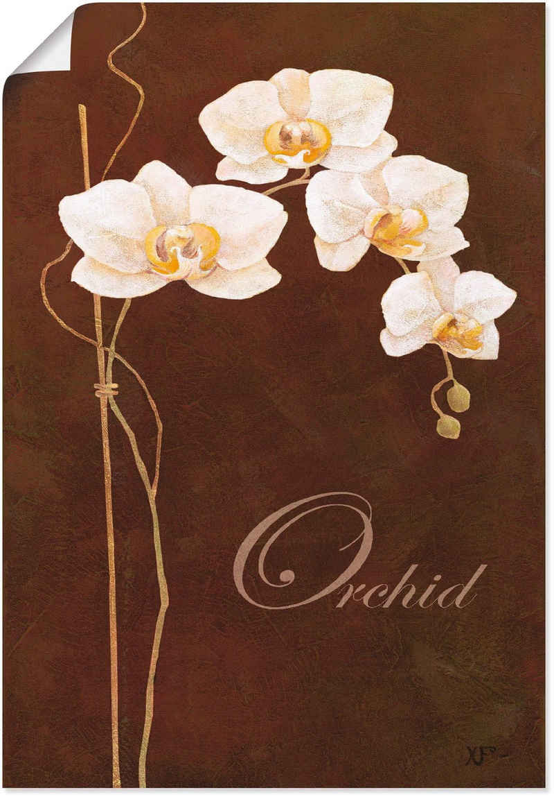 Artland Wandbild Zarte Orchidee, Blumen (1 St), als Leinwandbild, Poster in verschied. Größen