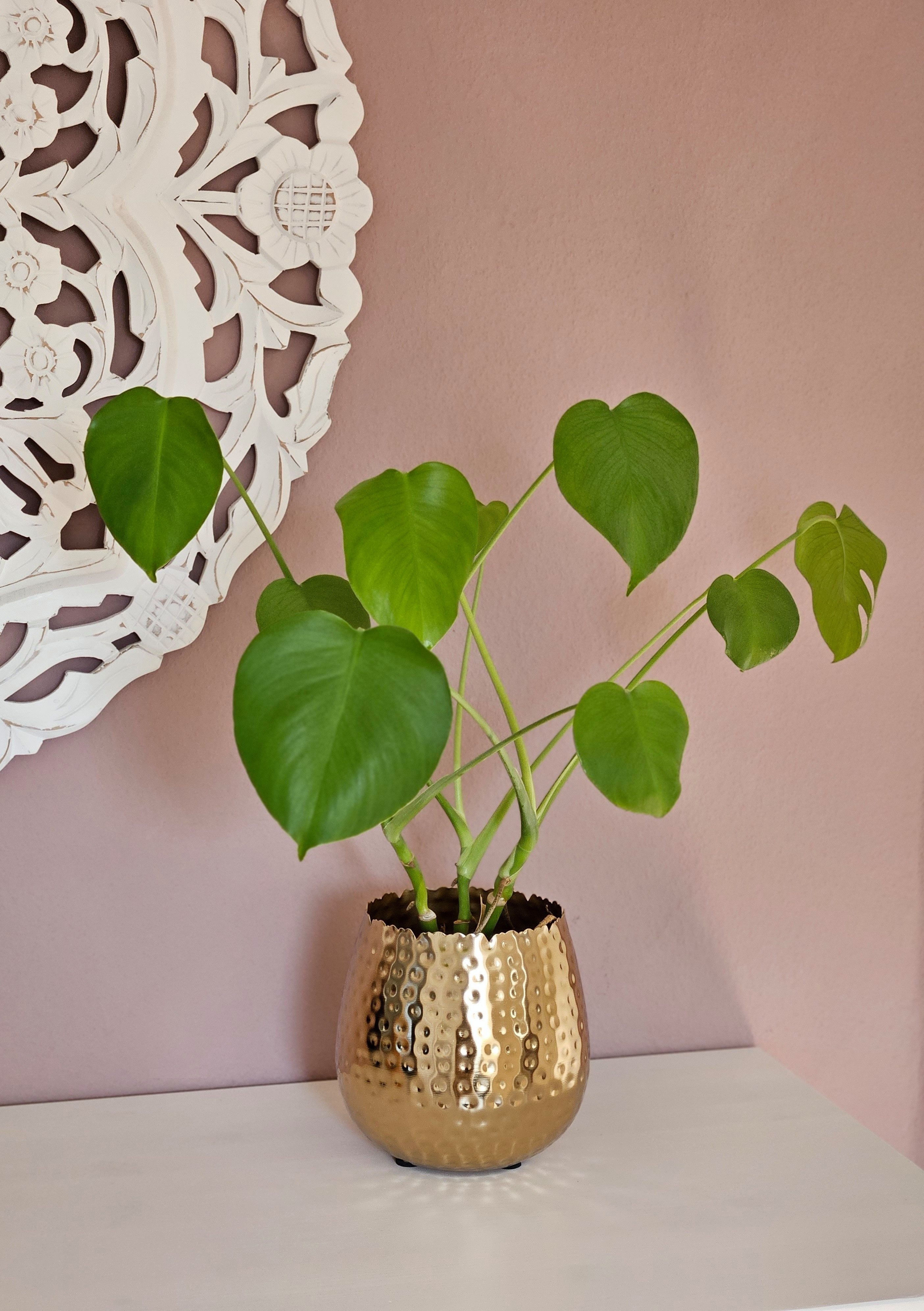 Meinposten Blumentopf Übertopf Vase gold Metall günstig online kaufen