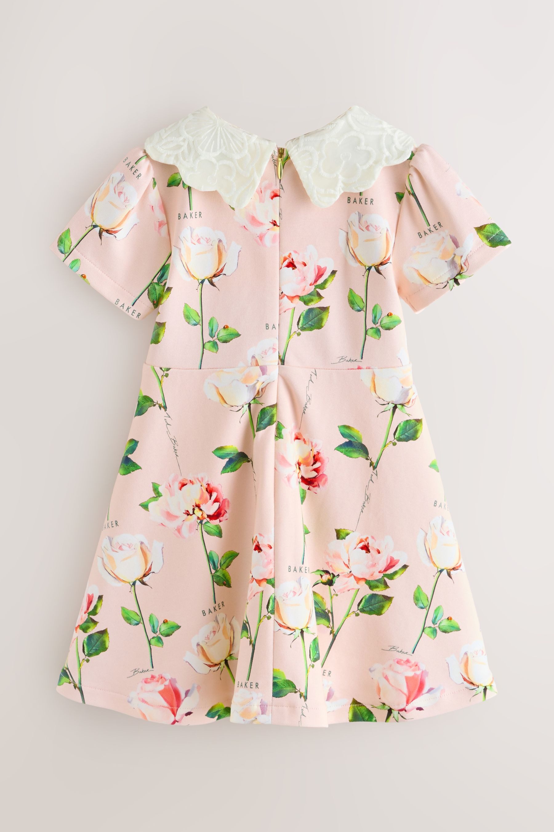 Baker by Ted Baker Spitzenkleid Baker by Ted Baker Ponte-Kleid mit Spitzenkragen (1-tlg)