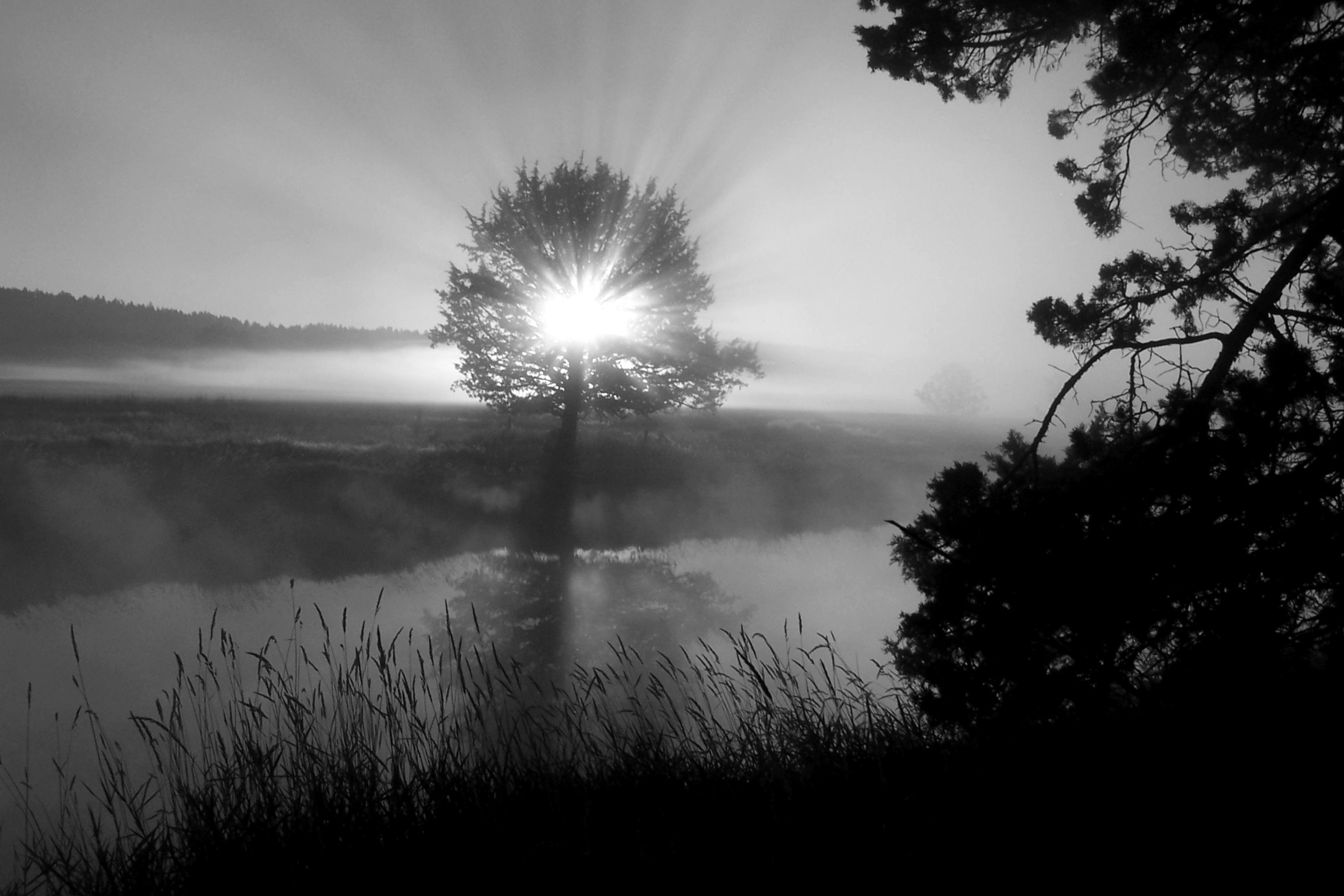 Fototapete Landschaft schwarz & weiß