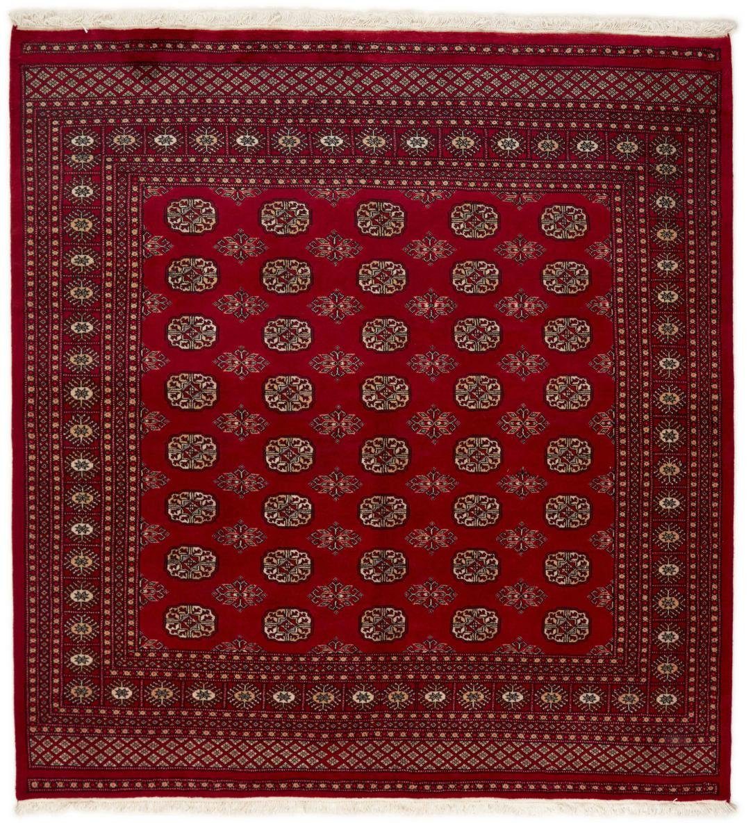 Orientteppich Pakistan Buchara 2ply 202x211 Handgeknüpfter Orientteppich, Nain Trading, rechteckig, Höhe: 8 mm | Kurzflor-Teppiche