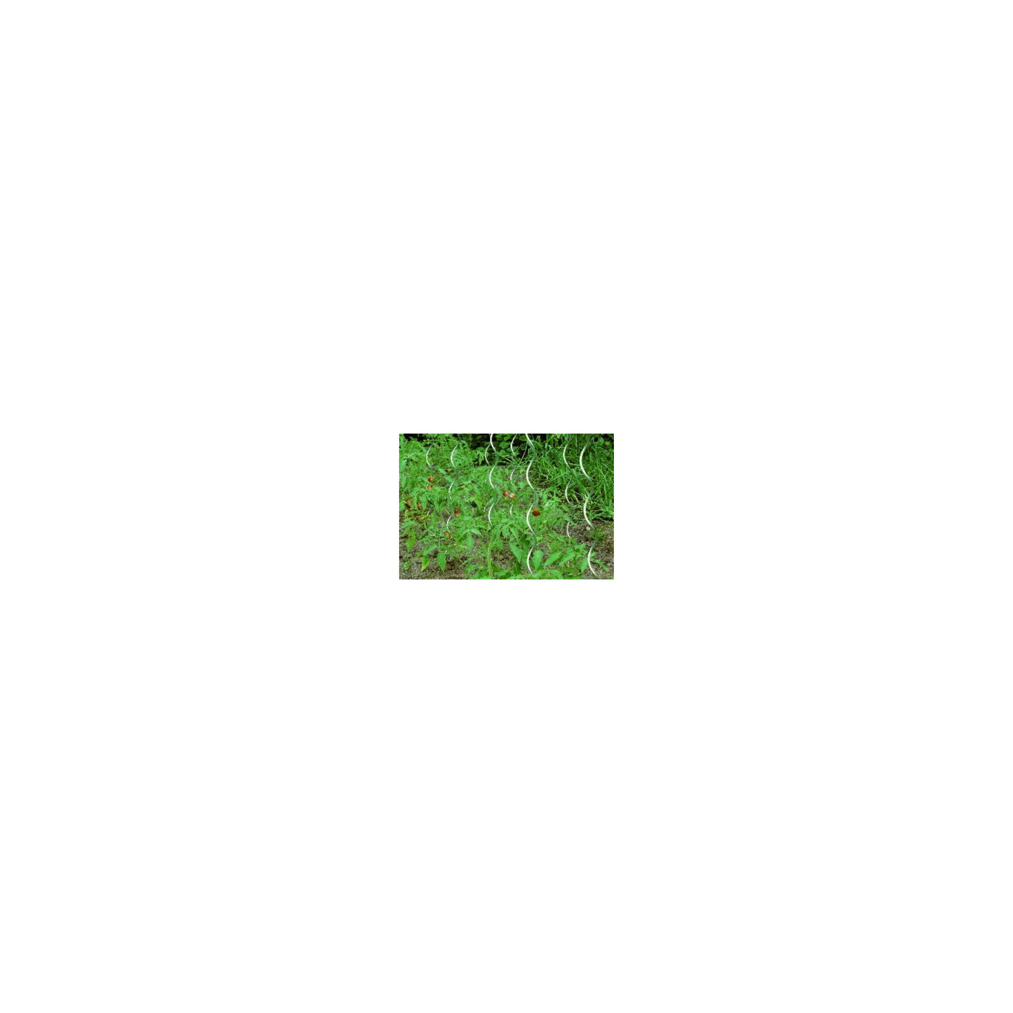 Floraworld floraworld Tomatenspiralstab 150 cm, Durchmesser 6,8 mm verzinkt 10 St