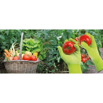 SPONTEX Mechaniker-Handschuhe Gartenhandschuhe Flexy Light 6x, Damenhandschuh, Gartenarbeit (Spar-Set)