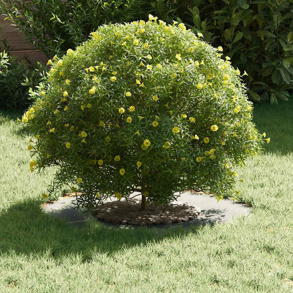 vidaXL Blumentopf Flache Baumringe 5 pcs günstig online kaufen