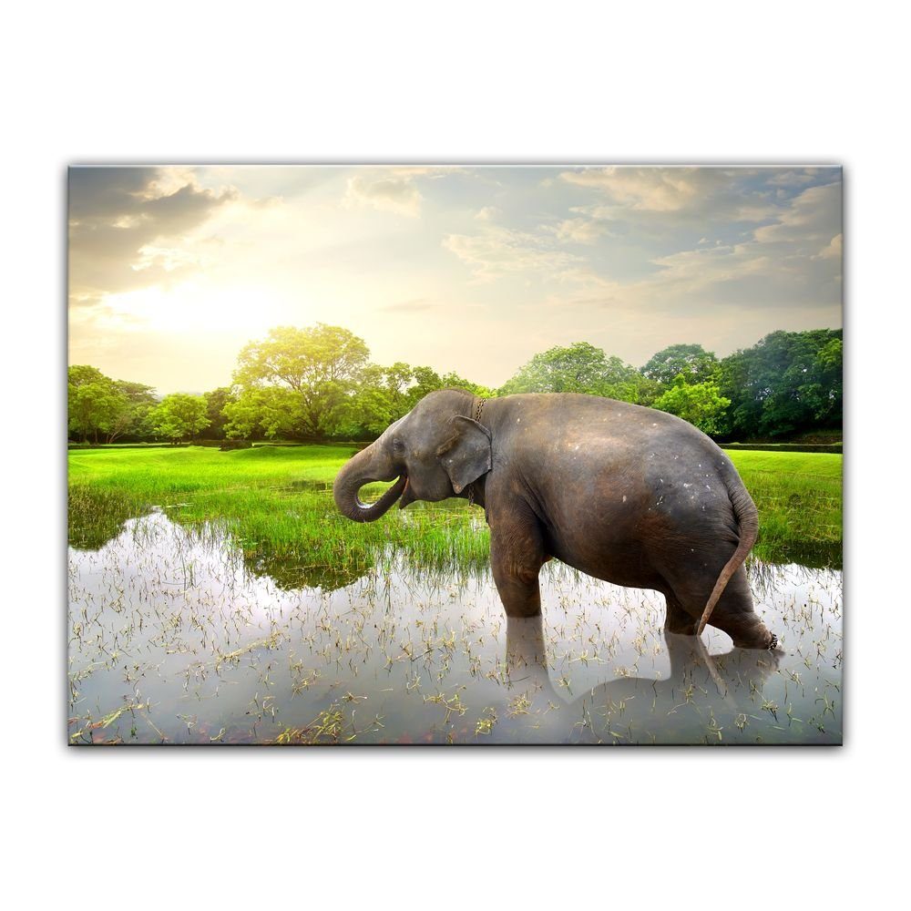 Bilderdepot24 Leinwandbild Elefant im Wasser - Thailand, Tiere